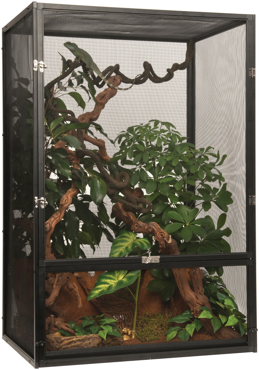 Terrarium »Gaze«, BxTxH: 60x45x90 cm