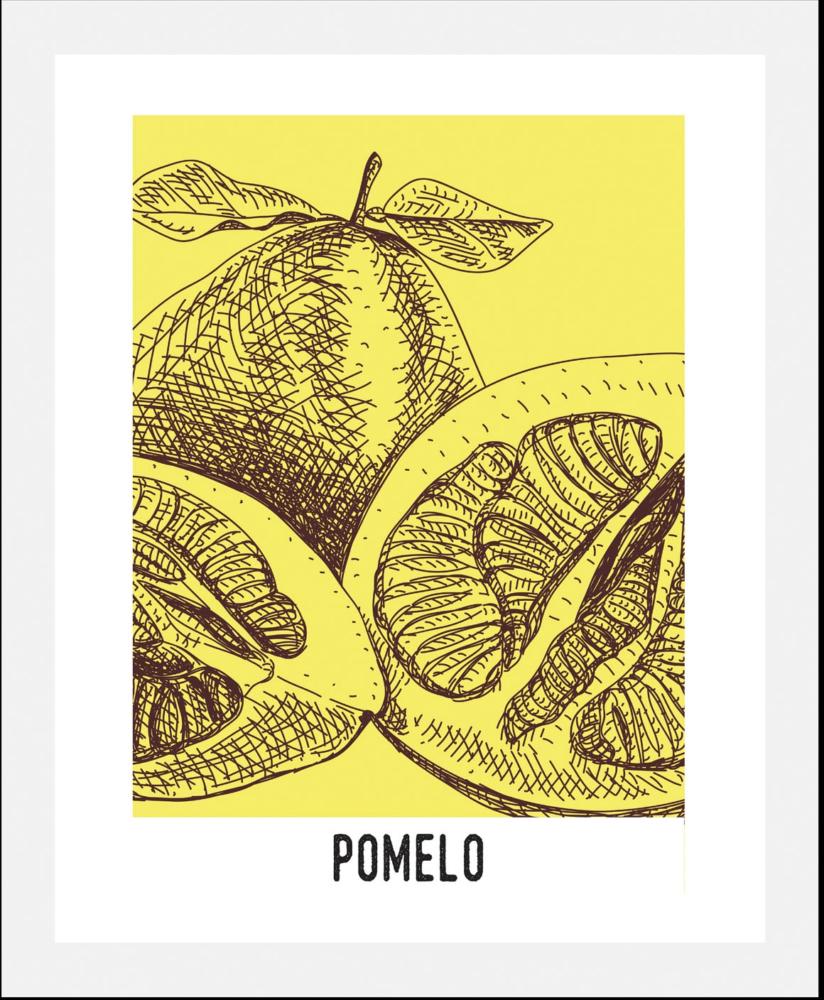 queence Bild »Pomelo«, Obst-Obst Bilder-Kunst-Abstrakt-Essen-Lebensmittel-S günstig online kaufen