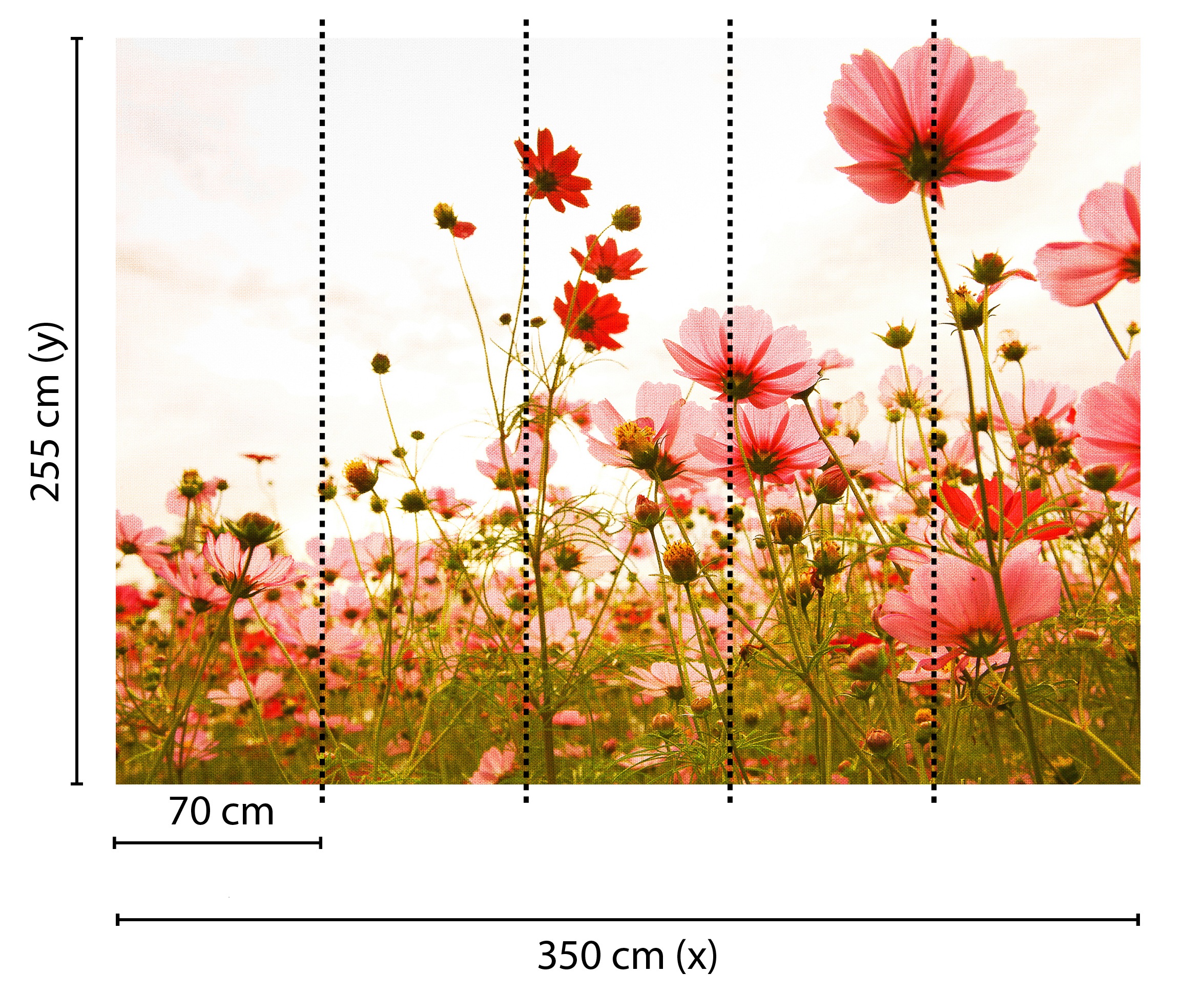 living walls Fototapete »Designwalls Flower Meadow 1«, Vlies, Wand, Schräge, Decke