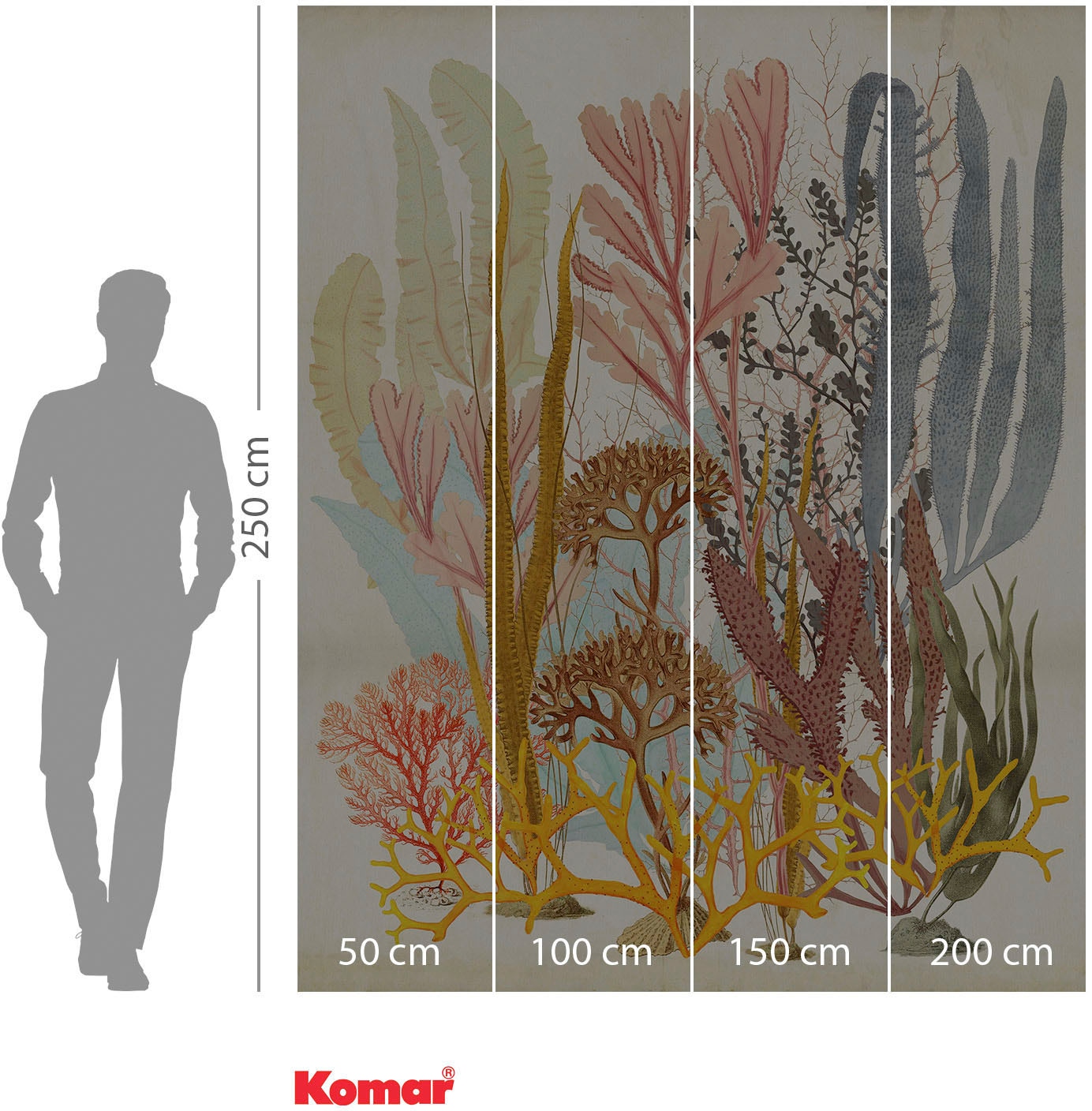 Komar Vliestapete »Digitaldruck Vlies - Catchy Corals - Größe 200 x 250 cm«, bedruckt, Wohnzimmer, Schlafzimmer