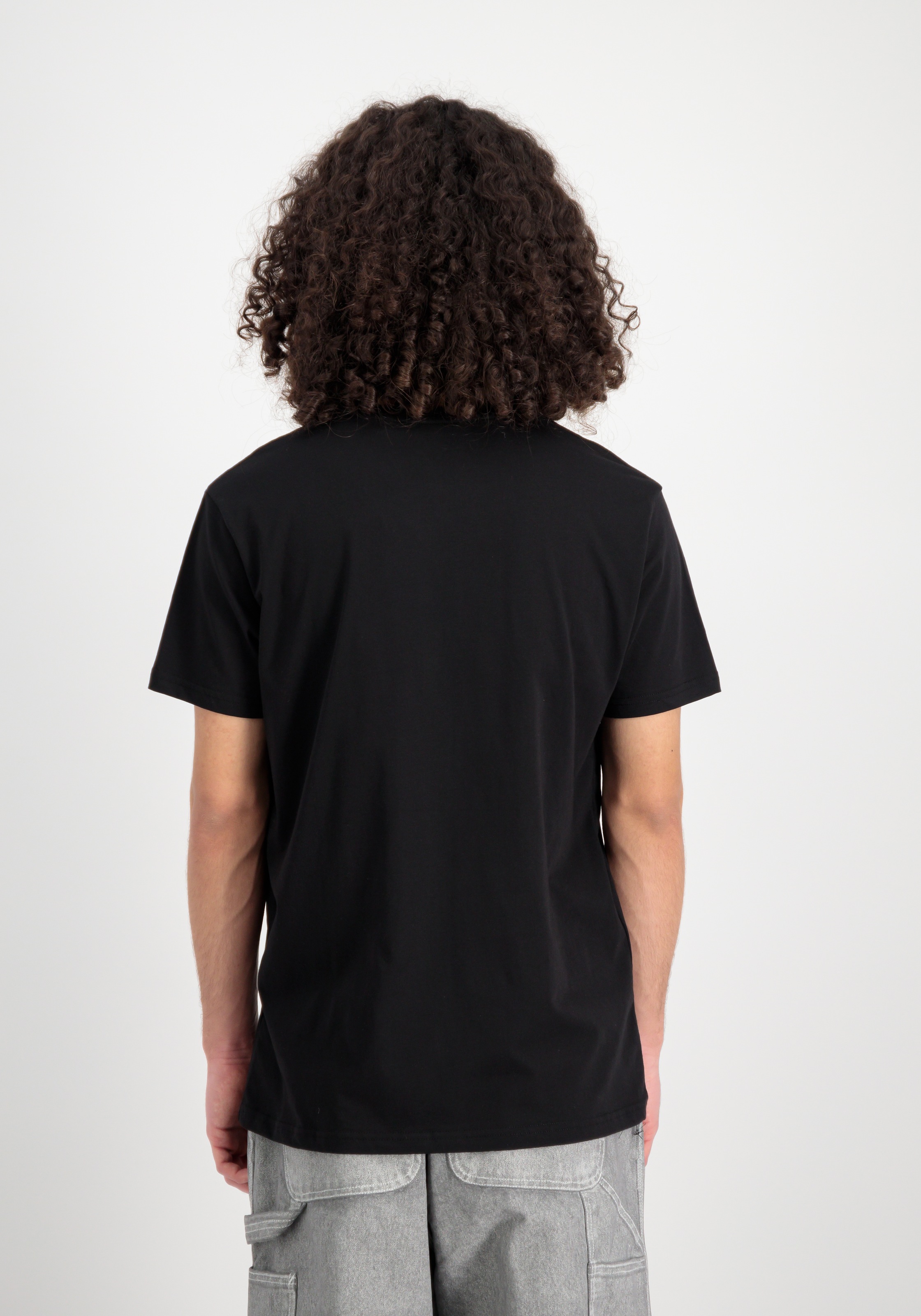 Alpha Industries Rundhalsshirt »Basic T Carbon«