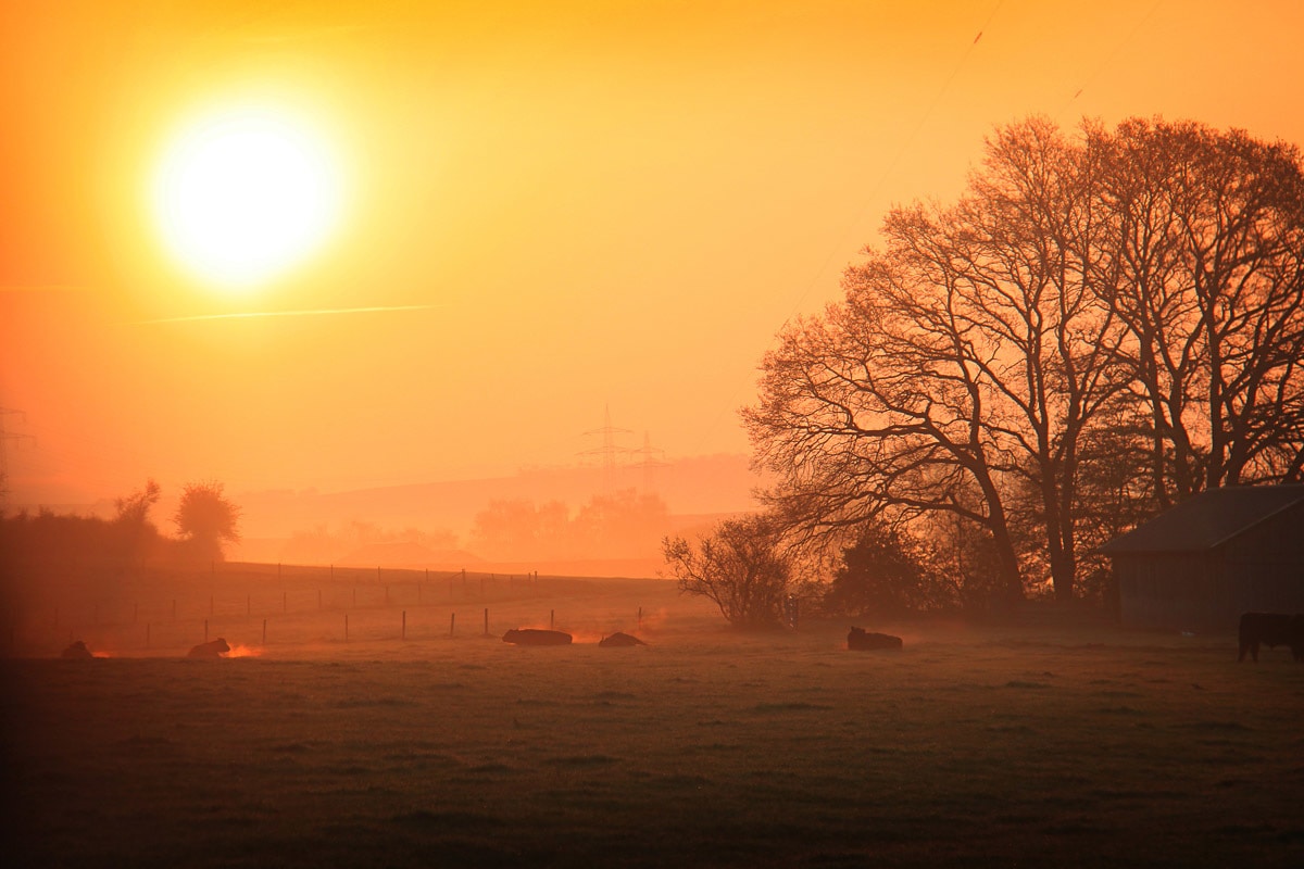 Papermoon Fototapete »Sonniger nebliger Sonnenaufgang« günstig online kaufen