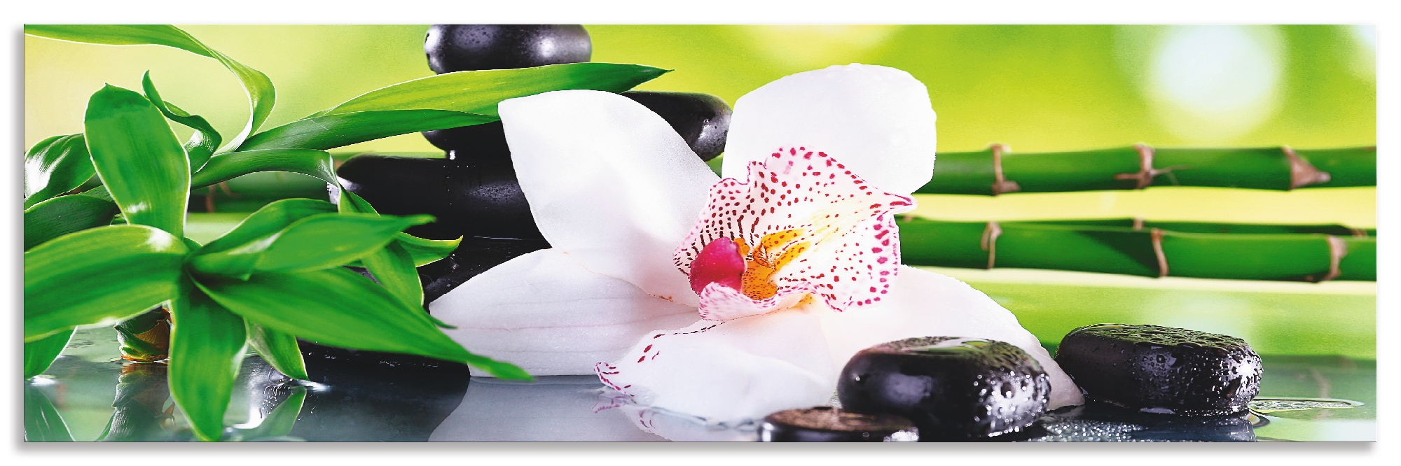 Artland Küchenrückwand »Spa Steine Bambus Zweige Orchidee«, (1 tlg.), Alu S günstig online kaufen