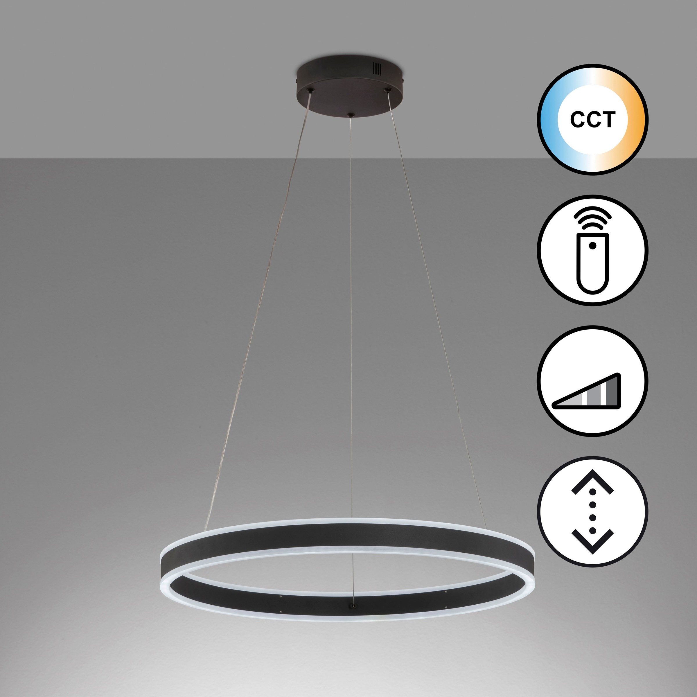 FISCHER & HONSEL Pendelleuchte »Sirko« LED-Modul 1 Stk. langlebige LED, dim günstig online kaufen