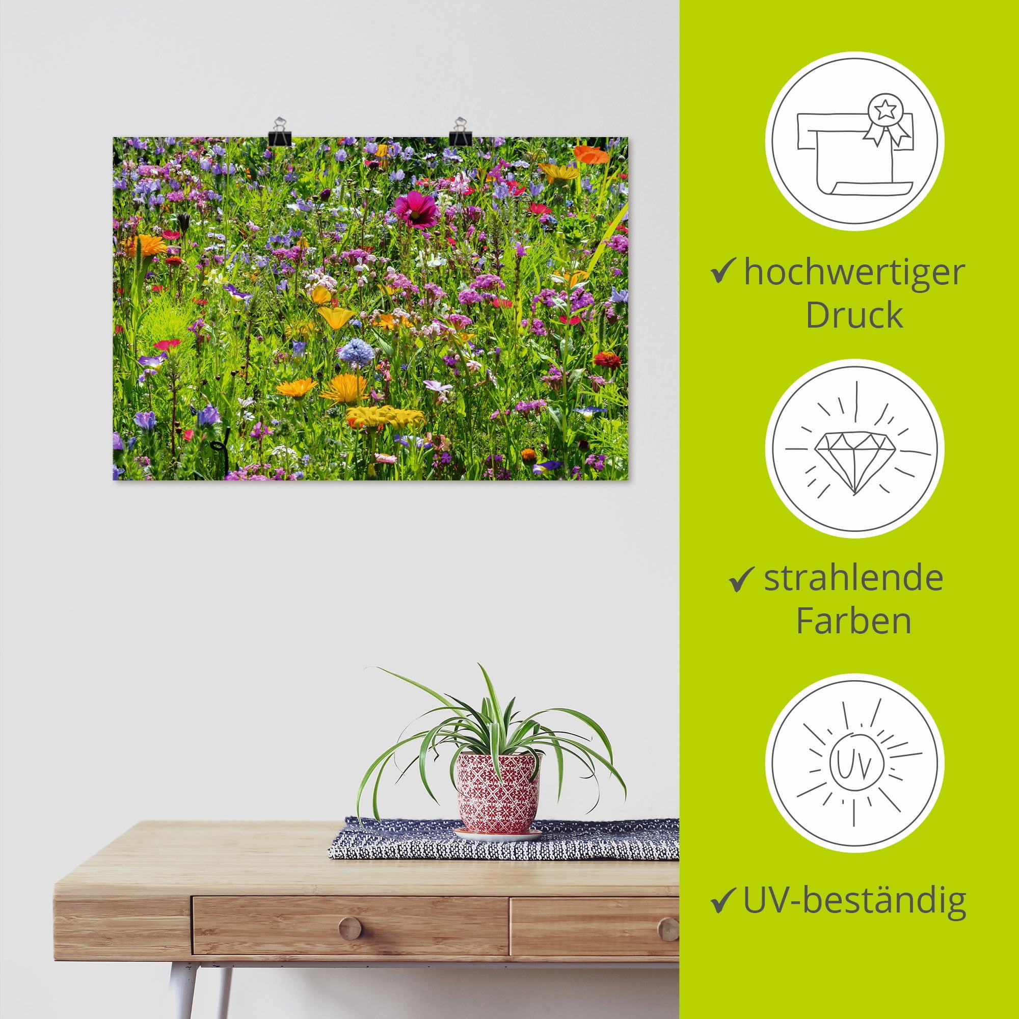 Artland Wandbild »Bunte Blumenwiese«, Blumenwiese, (1 St.), als Alubild, Outdoorbild, Leinwandbild, Poster, Wandaufkleber