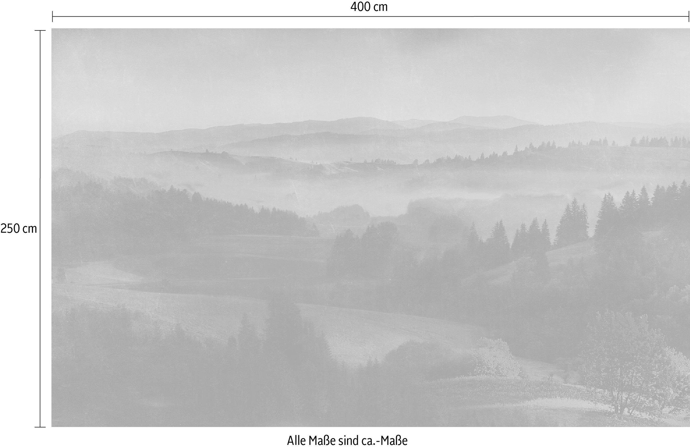 Komar Vliestapete »Digitaldruck Vlies - Twilight - Größe 400 x 250 cm«, bedruckt, Wohnzimmer, Schlafzimmer