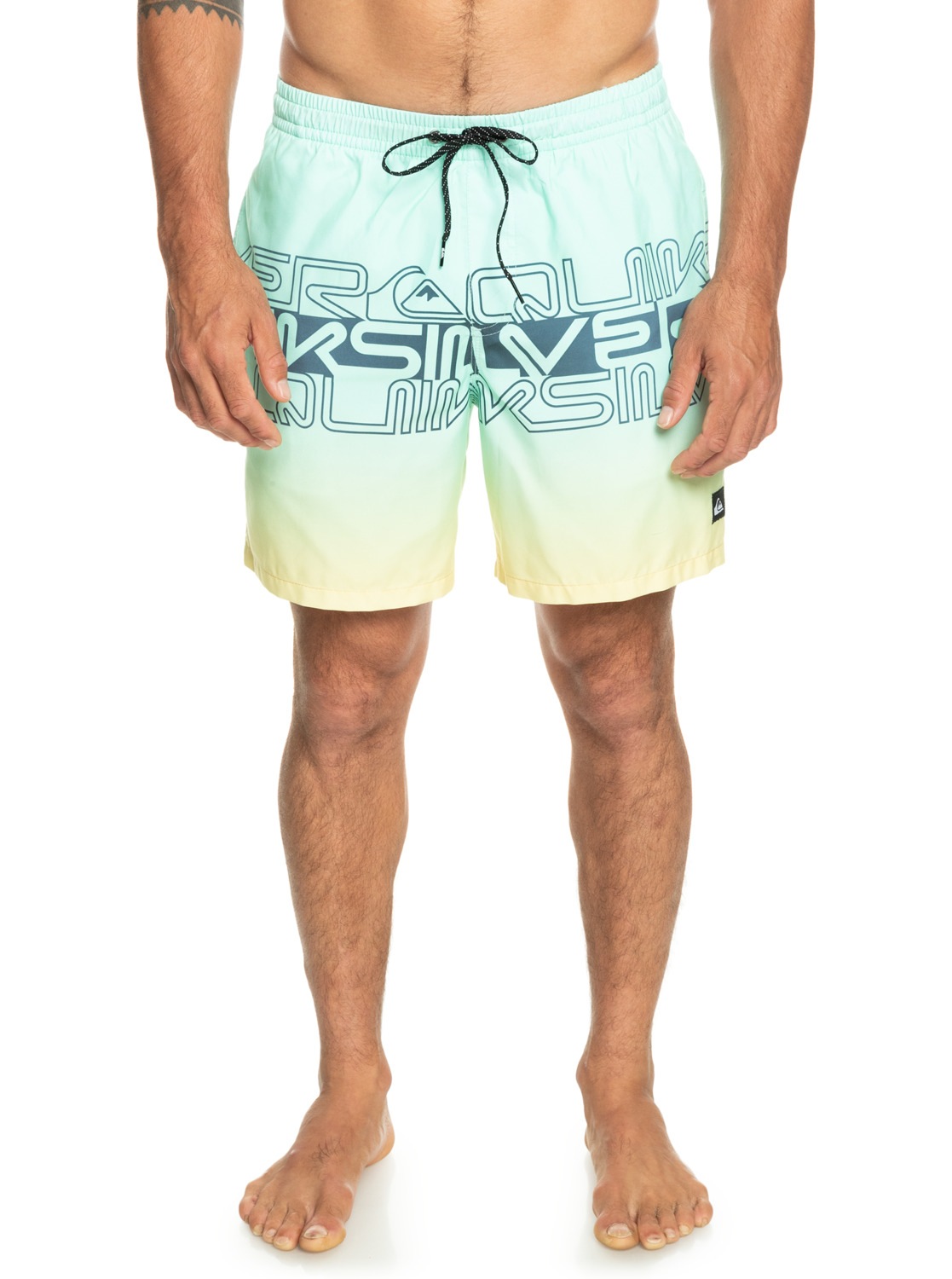 Quiksilver Boardshorts »Everyday Wordblock 17"«