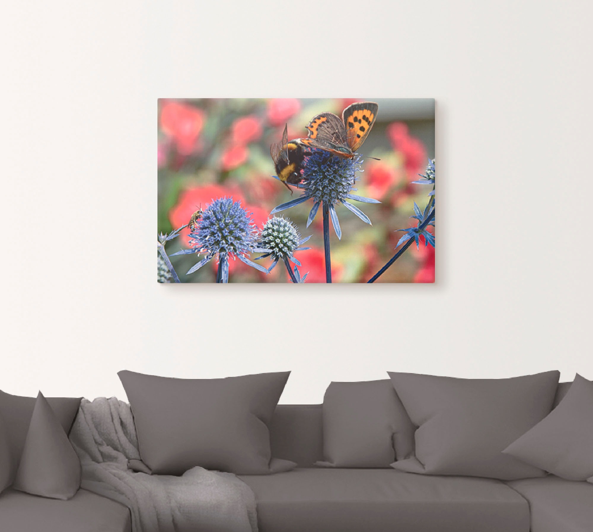 Artland Wandbild »Kleiner Feuerfalter und Hummel«, Insekten, (1 St.), als Alubild, Outdoorbild, Leinwandbild, Wandaufkleber, versch. Größen