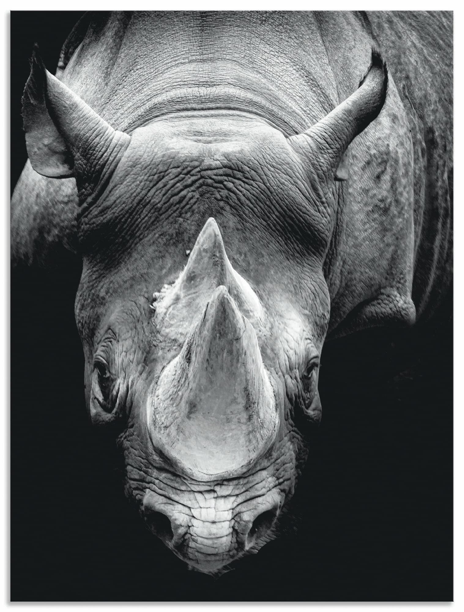 Artland Alu-Dibond-Druck »Das Nashorn«, Wildtiere, (1 St.), für Innen- und Außenbereich geeignet, Outdoorbild