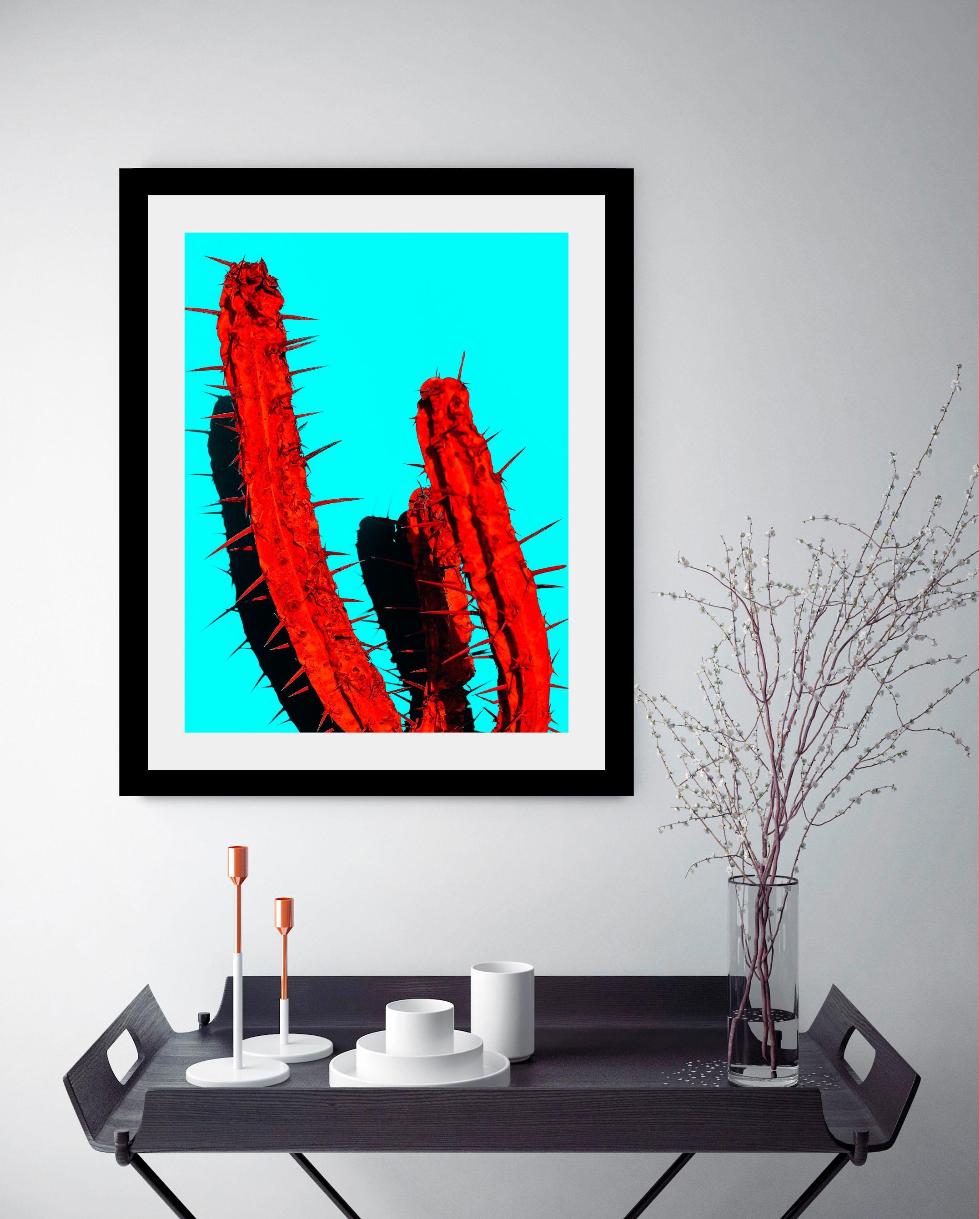 queence Bild »Kaktus«, Kunst-Pflanzen-Foto-Pflanzenbilder, HD Premium Poste günstig online kaufen