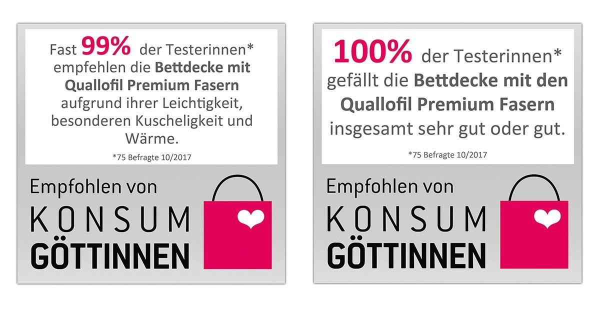 fan Kunstfaserbettdecke »First Class«, leicht, Bezug 100% Baumwolle, (1 St.)