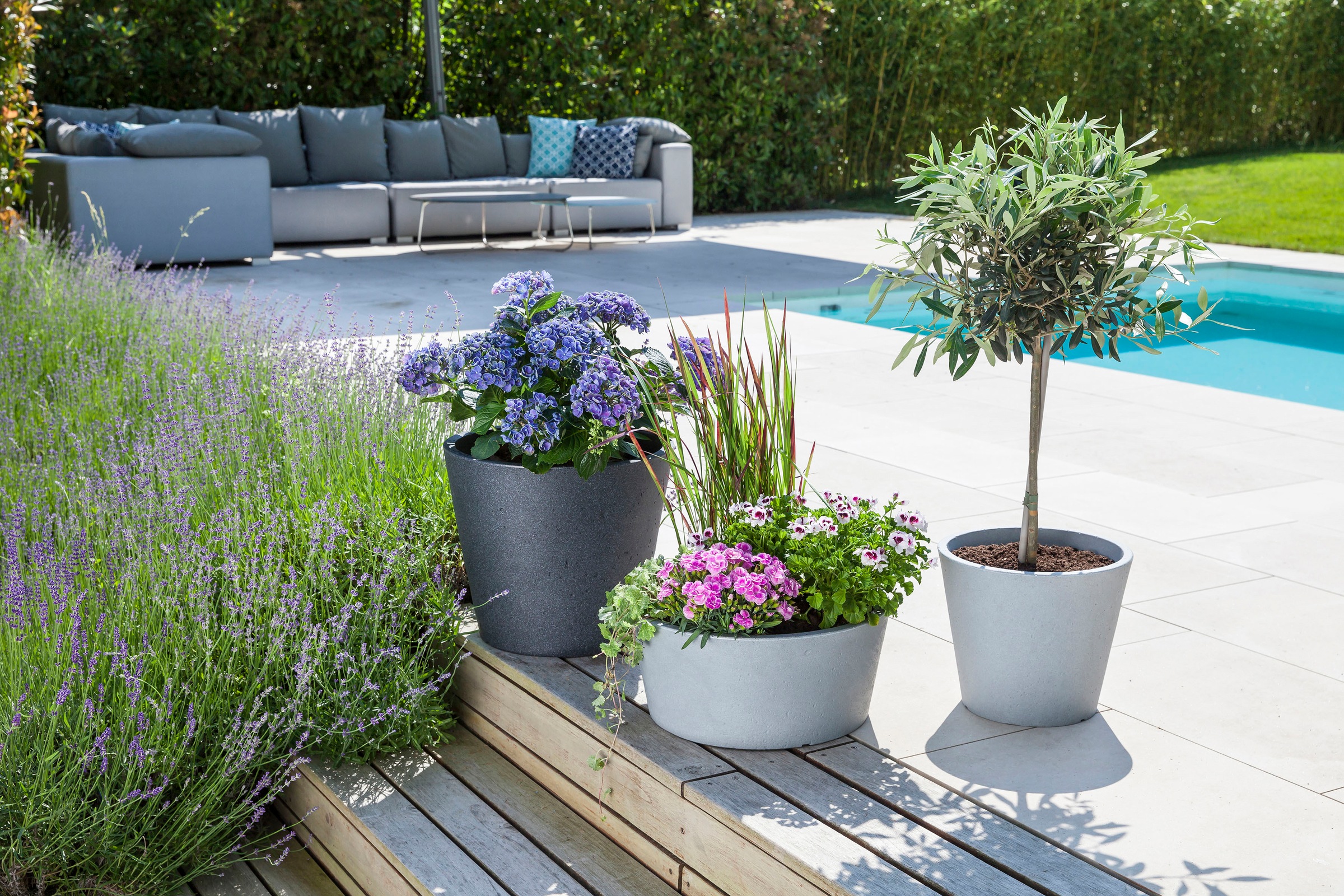 Scheurich Blumentopf »30/238 C-CONE 30«