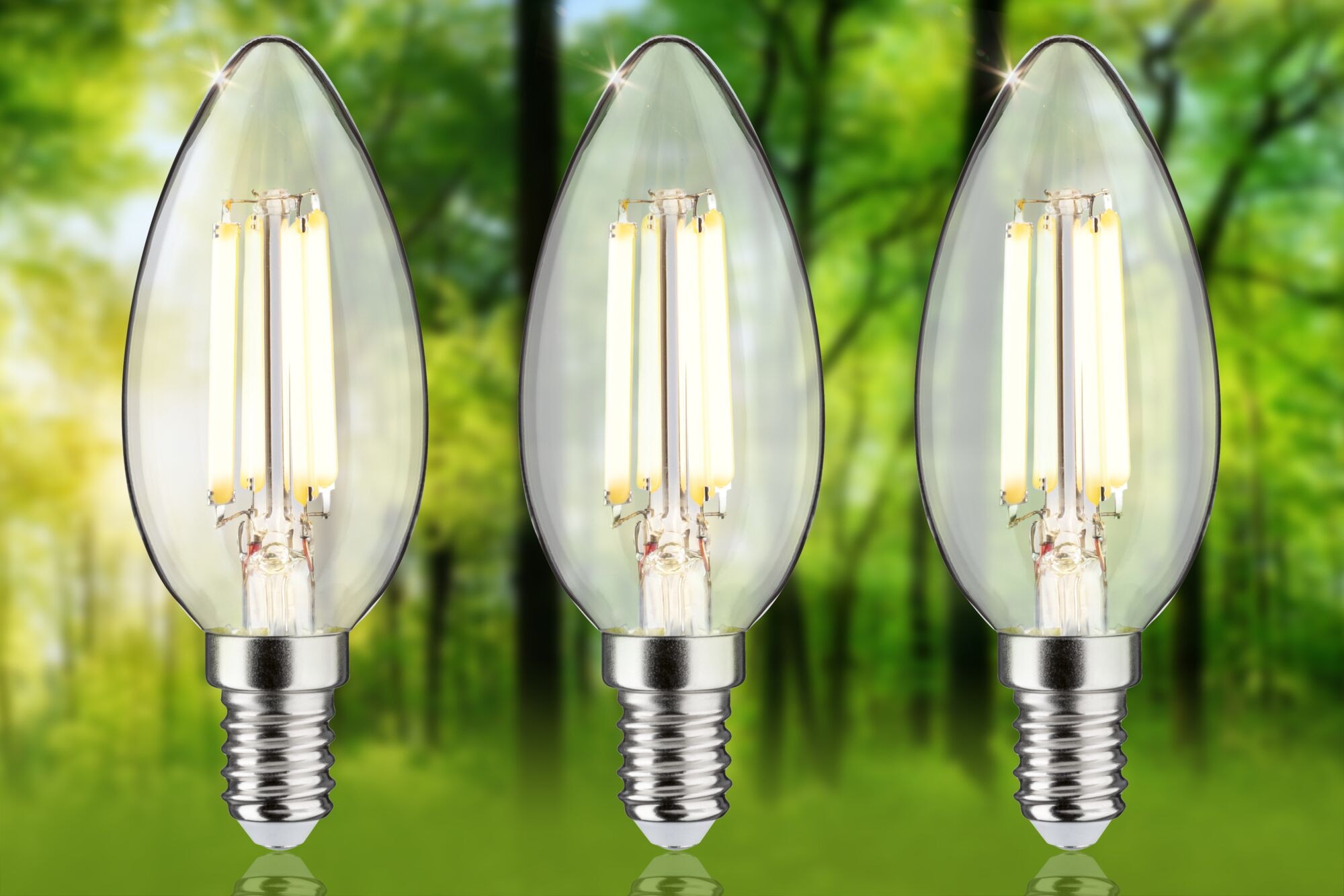 Paulmann LED-Leuchtmittel »Eco-Line Filament 230V LED Kerze E14 3er-Pack 525lm 2,5W 3000K Klar«, E14, 3 St., Warmweiß