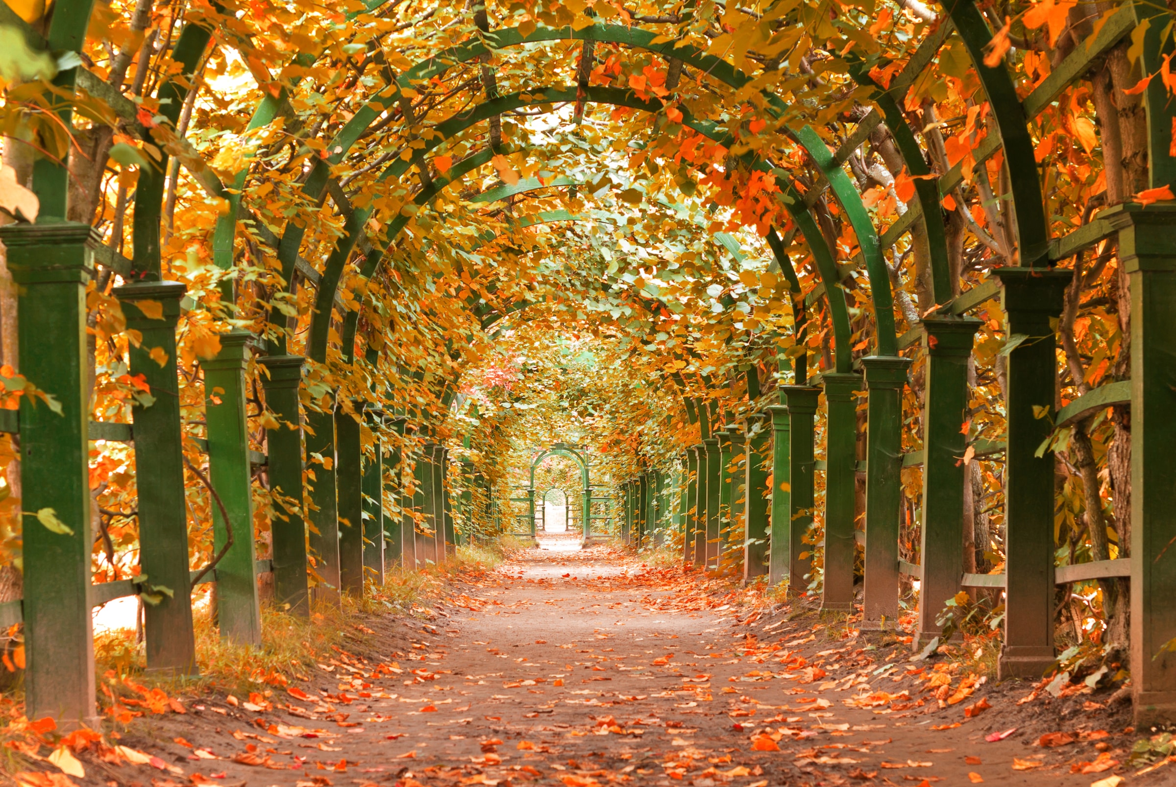 Papermoon Fototapete »Autumn Garden« glatt günstig online kaufen