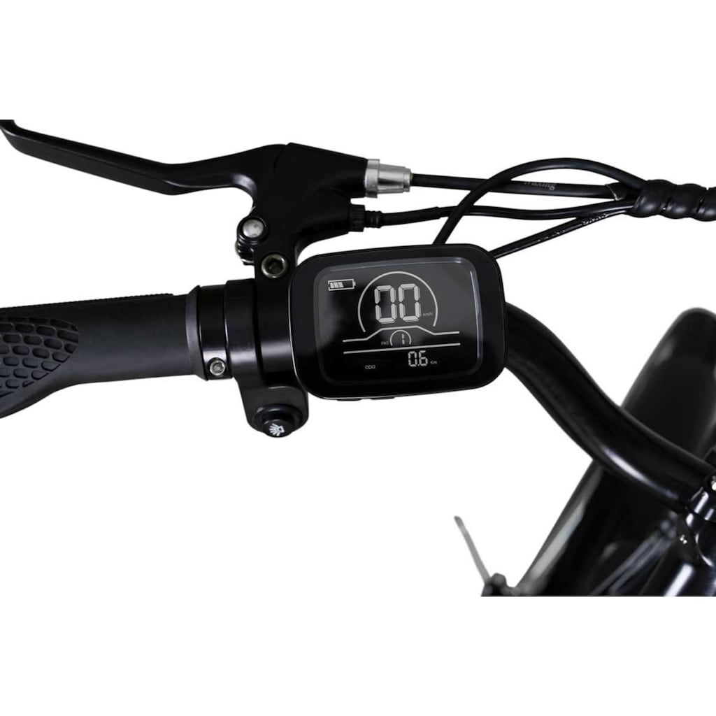 Jeep E-Bikes E-Bike »ECR 3000«, 6 Gang, Heckmotor 250 W, (mit Akku-Ladegerät)