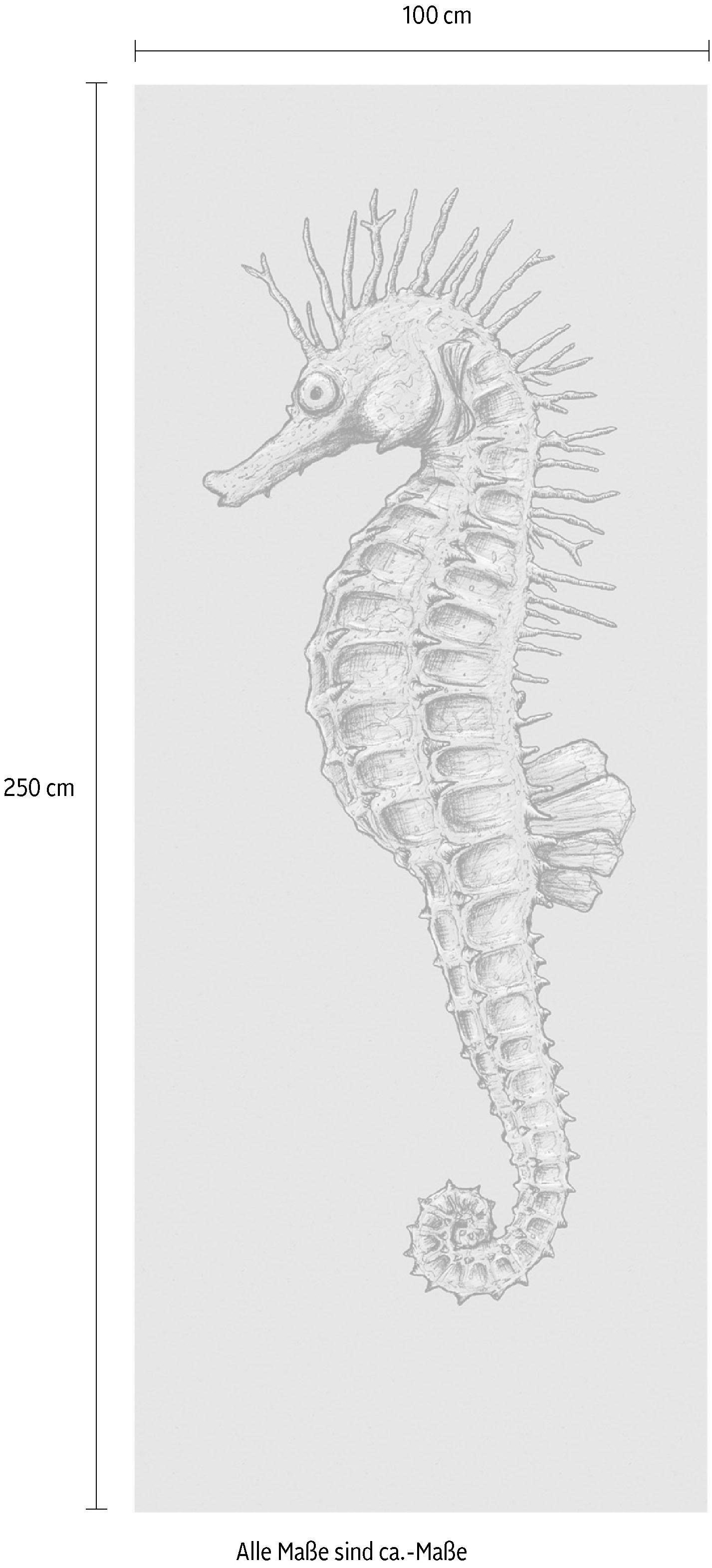 Komar Vliestapete »Digitaldruck Vlies - Seahorse Panel - Größe 100 x 250 cm«, bedruckt, Wohnzimmer, Schlafzimmer