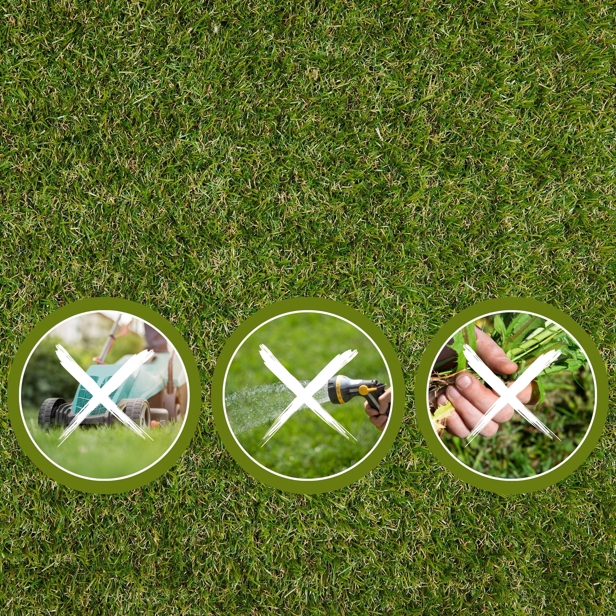 Andiamo Kunstrasen »Rasenteppich Jever« rechteckig 20 mm Höhe natürliche Optik, mit Drainagefunktion, für Balkon, Terrasse & Garten