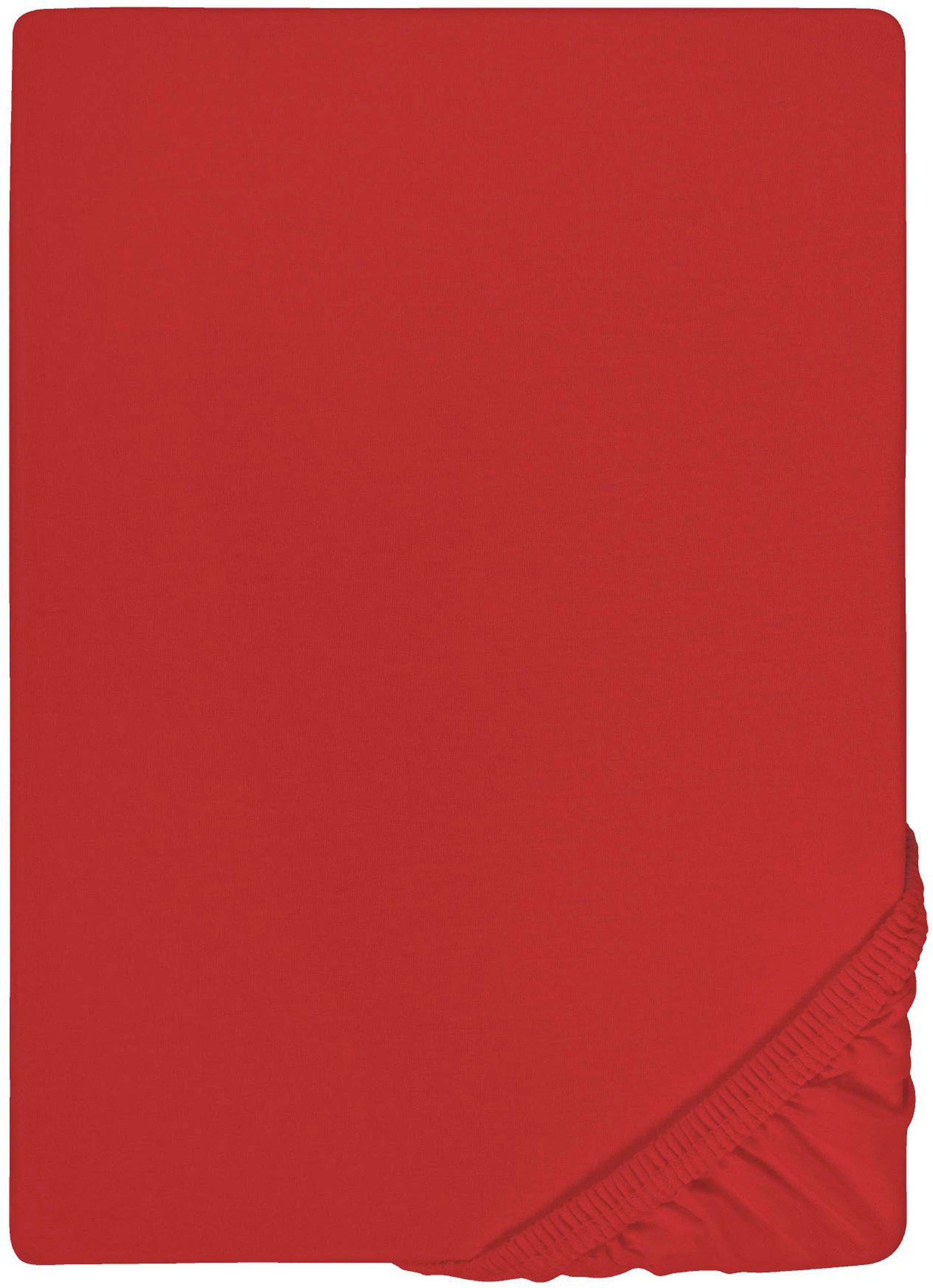 Biberna Spannbettlaken »Thea in Gr. 90x220, 140x220 oder 180x220 cm«, aus Baumwolle, für Matratzen bis 25 cm Höhe, Bettlaken, Spannbetttuch