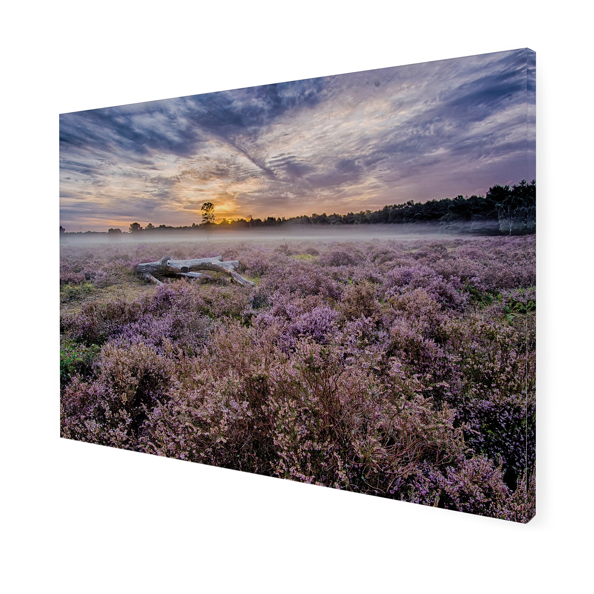 Art for the home Leinwandbild »Outdoor Lavendel 50x70cm«, (1 St.)