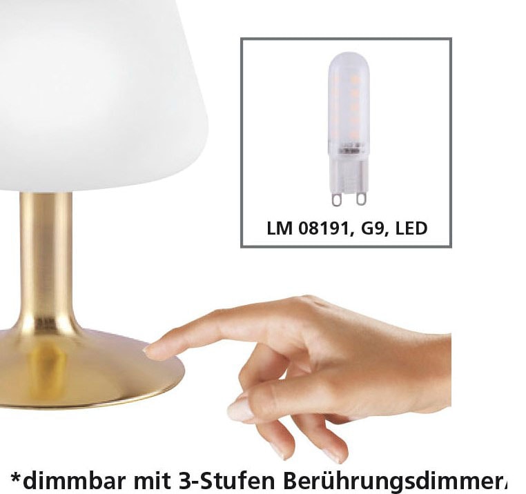 Paul Neuhaus LED auf flammig-flammig, Touchdimmer kaufen »Till«, 1 Raten 3-Stufen Tischleuchte