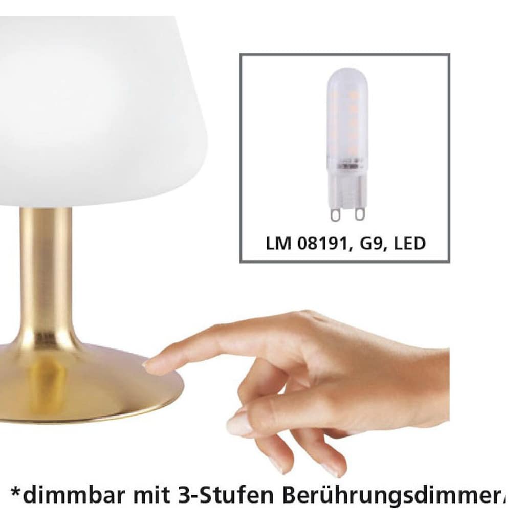 Paul Neuhaus LED Tischleuchte »Till«, 1 flammig-flammig, 3-Stufen Touchdimmer