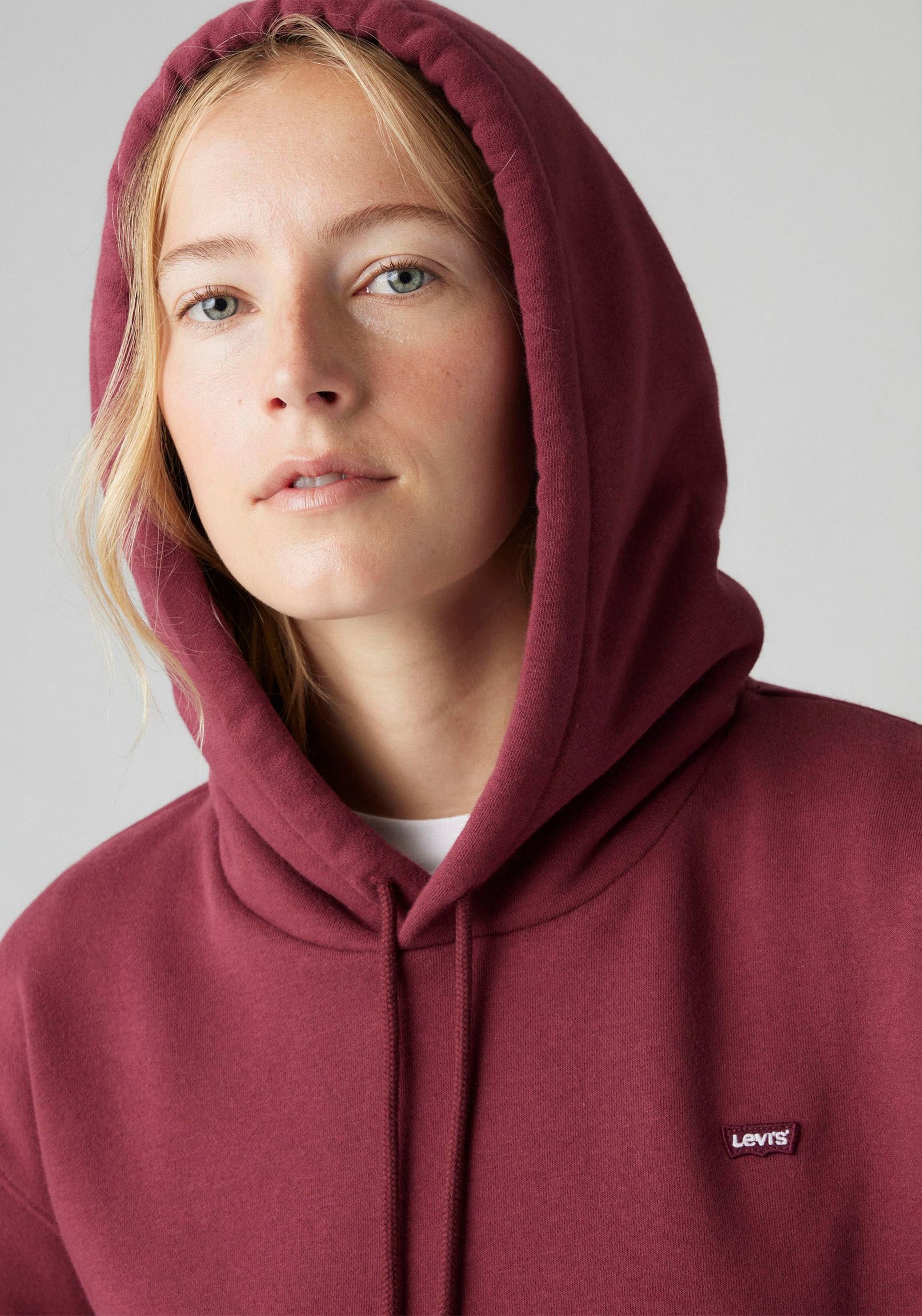 Levi's® Kapuzensweatshirt »EVERYDAY HOODIE«