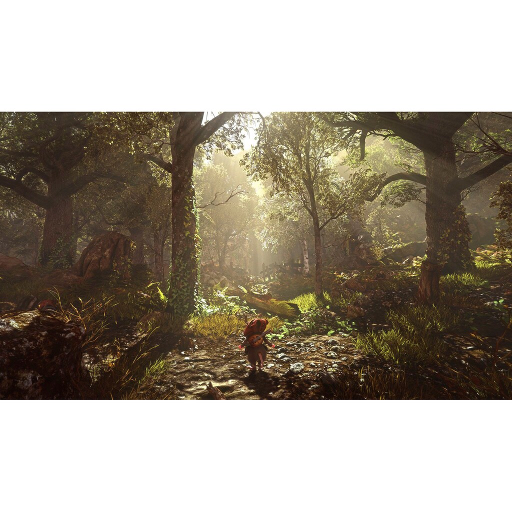 PlayStation 4 Spielesoftware »Ghost of a Tale«, PlayStation 4