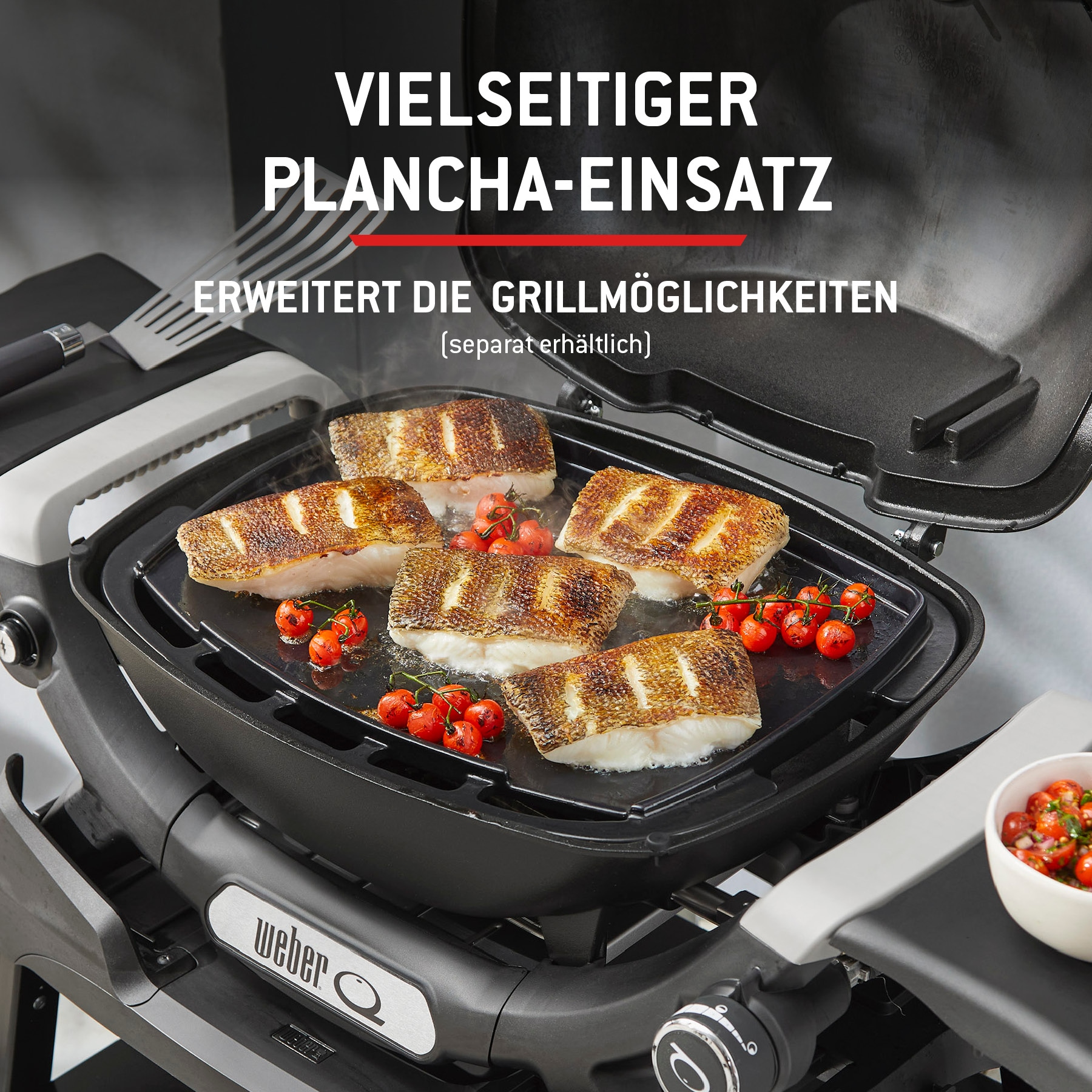 Weber Gasgrill »Q1100N« Mit Deckelthermometer