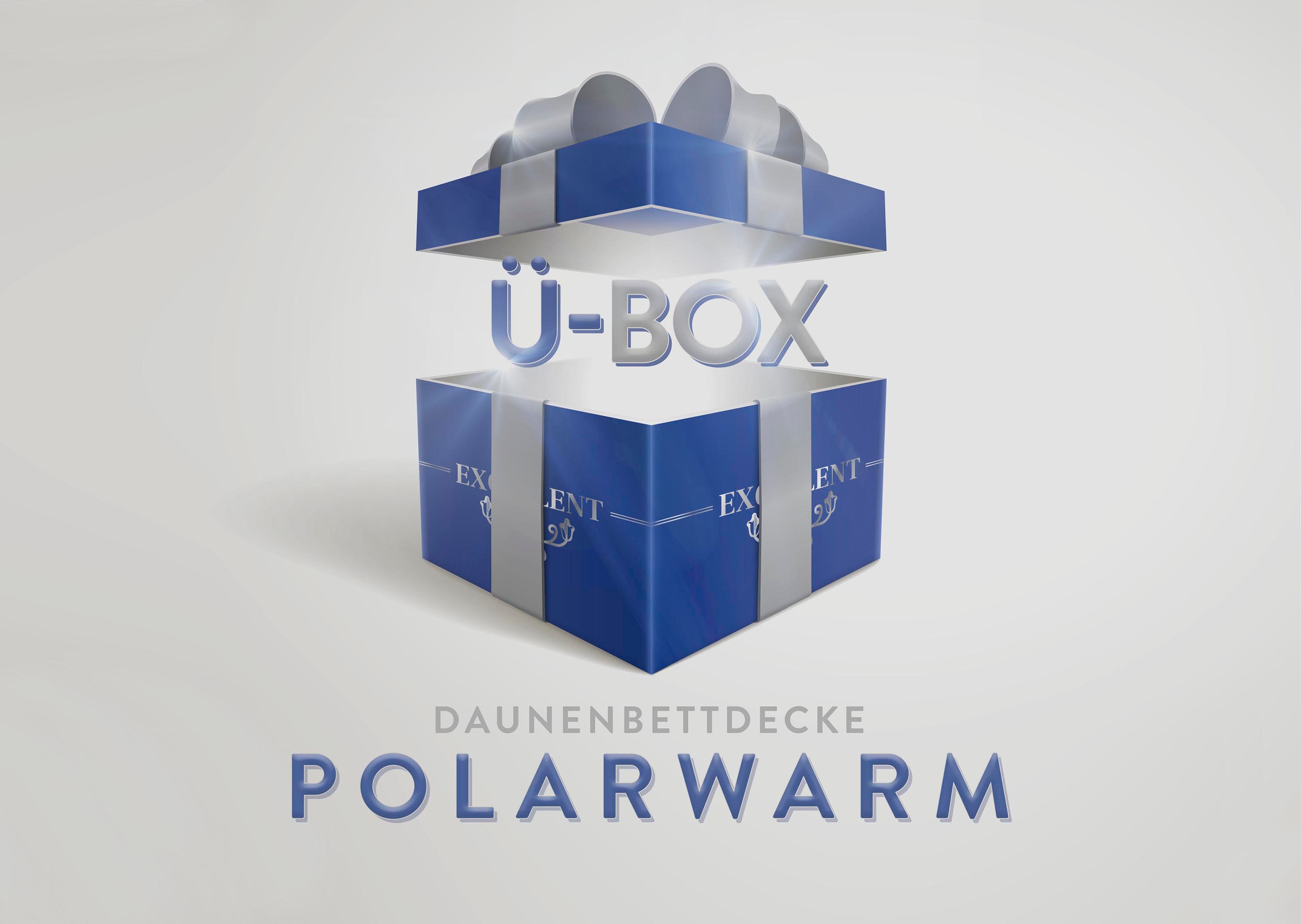 Excellent Daunenbettdecke »Überraschungsbox«, extrawarm, Füllung 90% Daunen günstig online kaufen