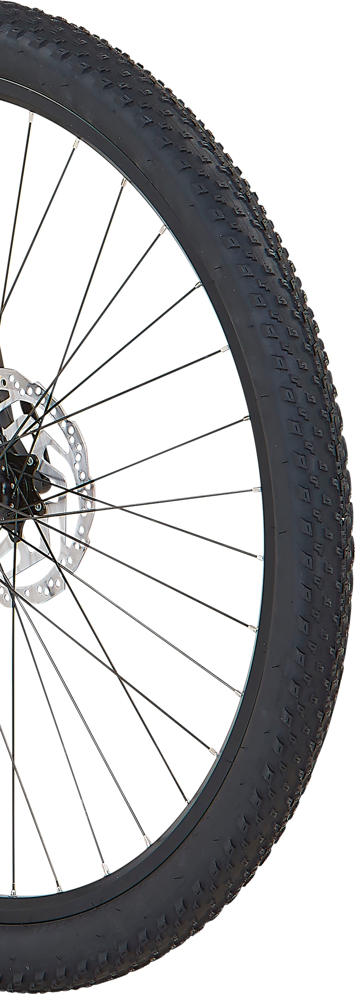 Prophete E-Bike »Dice 2.8«, 9 Gang, Shimano, Alivio, Heckmotor 250 W