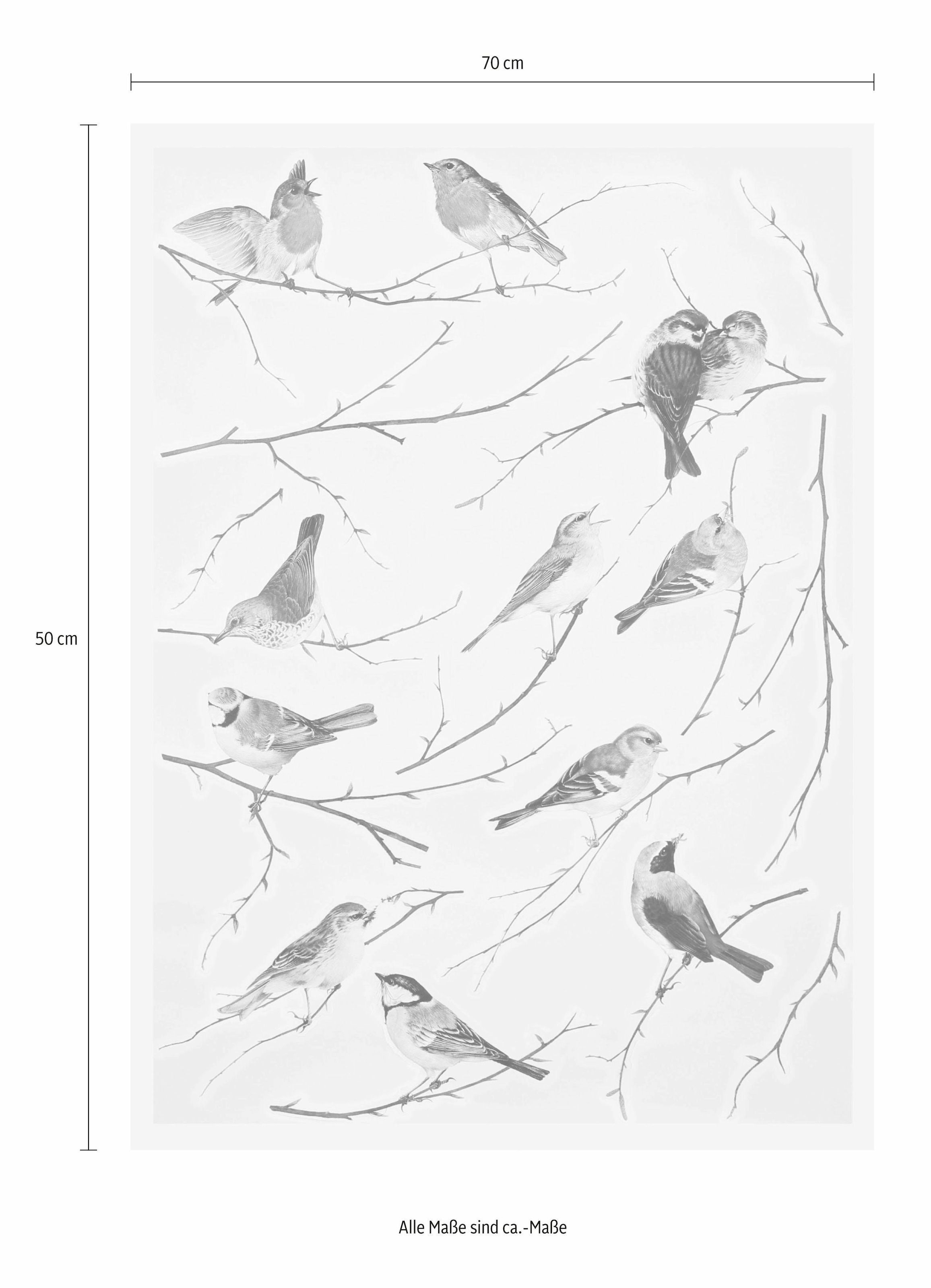 Komar Wandtattoo »Vogerl - Größe 50 x 70 cm«, selbstklebend, Wandsticker