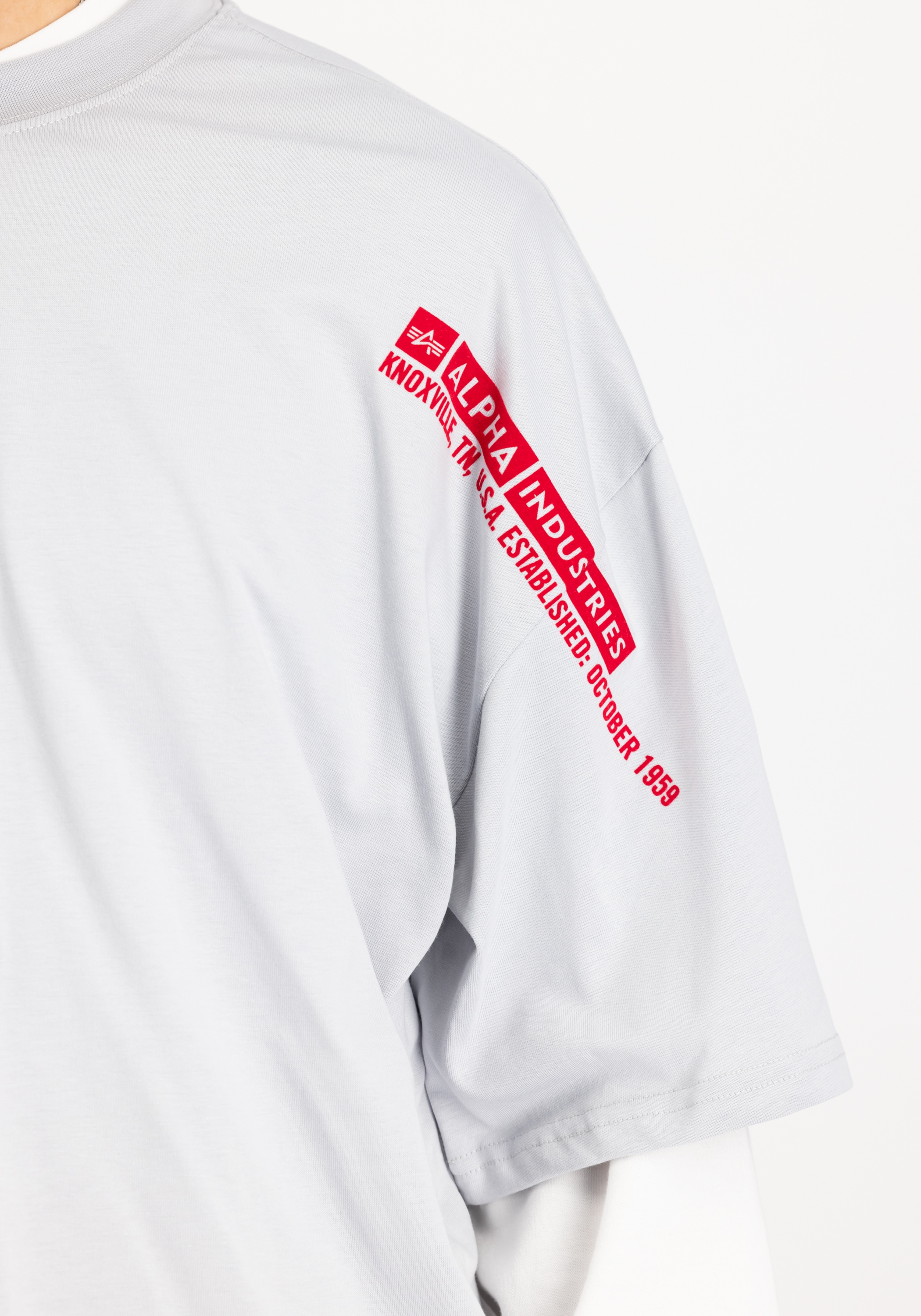Alpha Industries T-Shirt »Alpha Industries Men - T-Shirts Flock Logo T-Shirt«