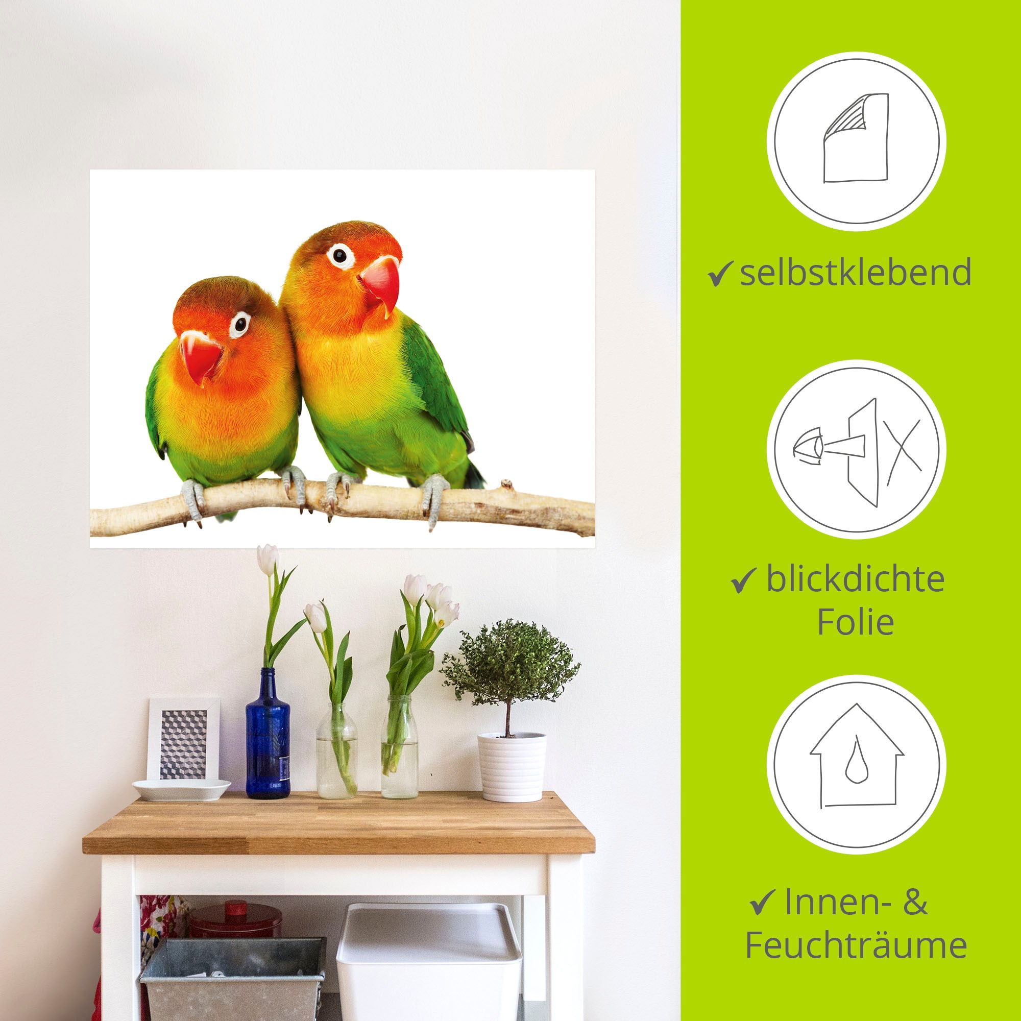 Artland Wandbild »Paar von Grauköpfchen - Papageien«, Vögel, (1 St.), als Leinwandbild, Poster, Wandaufkleber in verschied. Größen