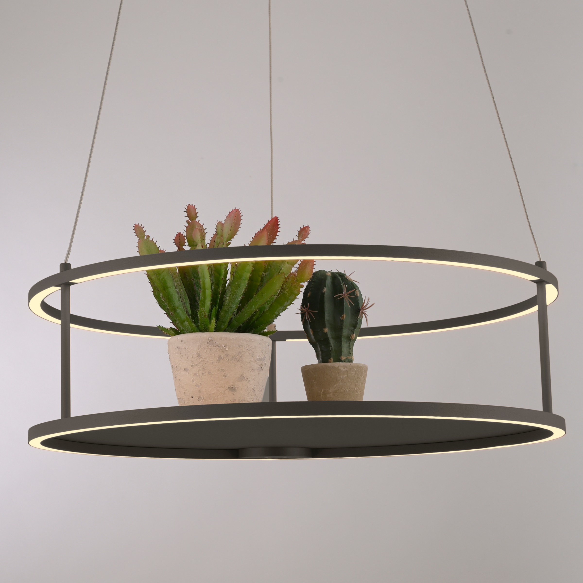 Paul Neuhaus LED Pendelleuchte »CONTURA« LED-Board 1 Stk. Warmweiß Touchdimmer, separat schaltbar, Memoryfunktion, Deko-Ablagefläche