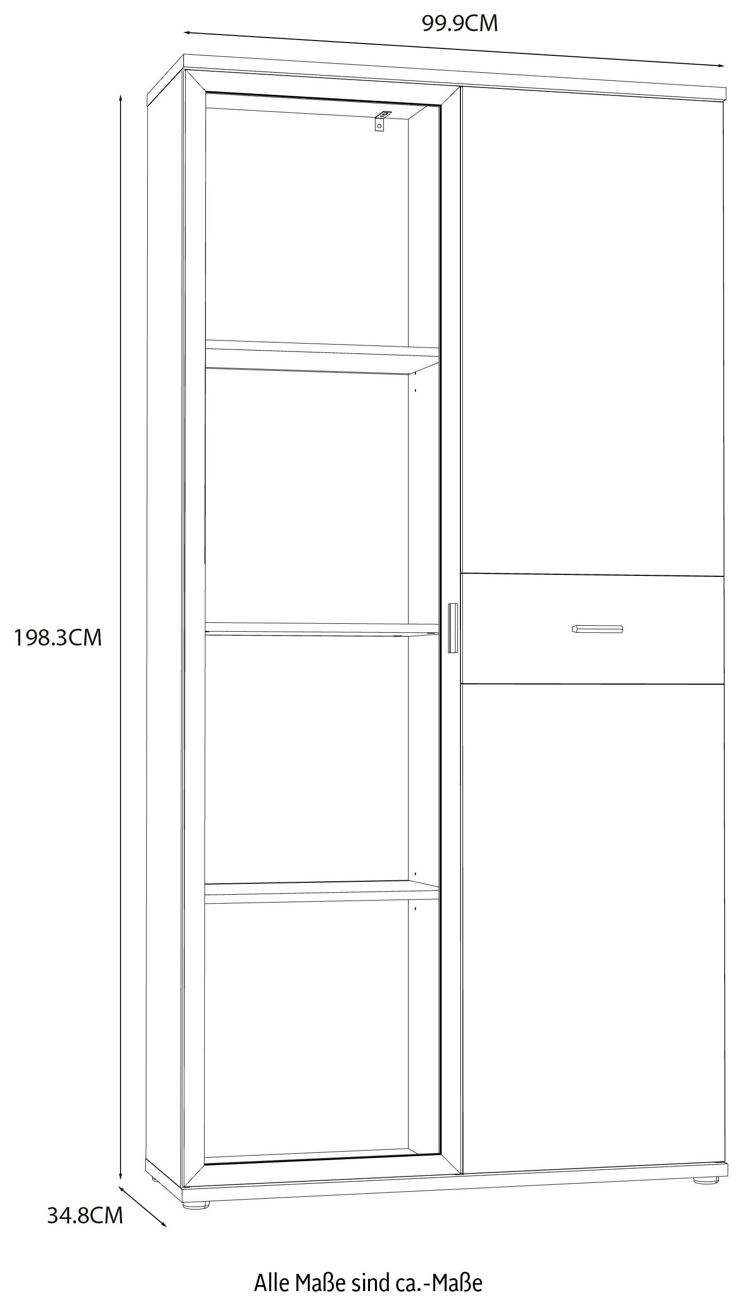 FORTE Vitrine »Chesapeak große Highboard inkl. Beleuchtung, 1 Glastür, Höhe 200 cm«, (B/H/T 99,9/198,3/34,8 cm), Highboardvitrine, Glastür, Beleuchtung inklusive, Höhe ca. 2 mtr.