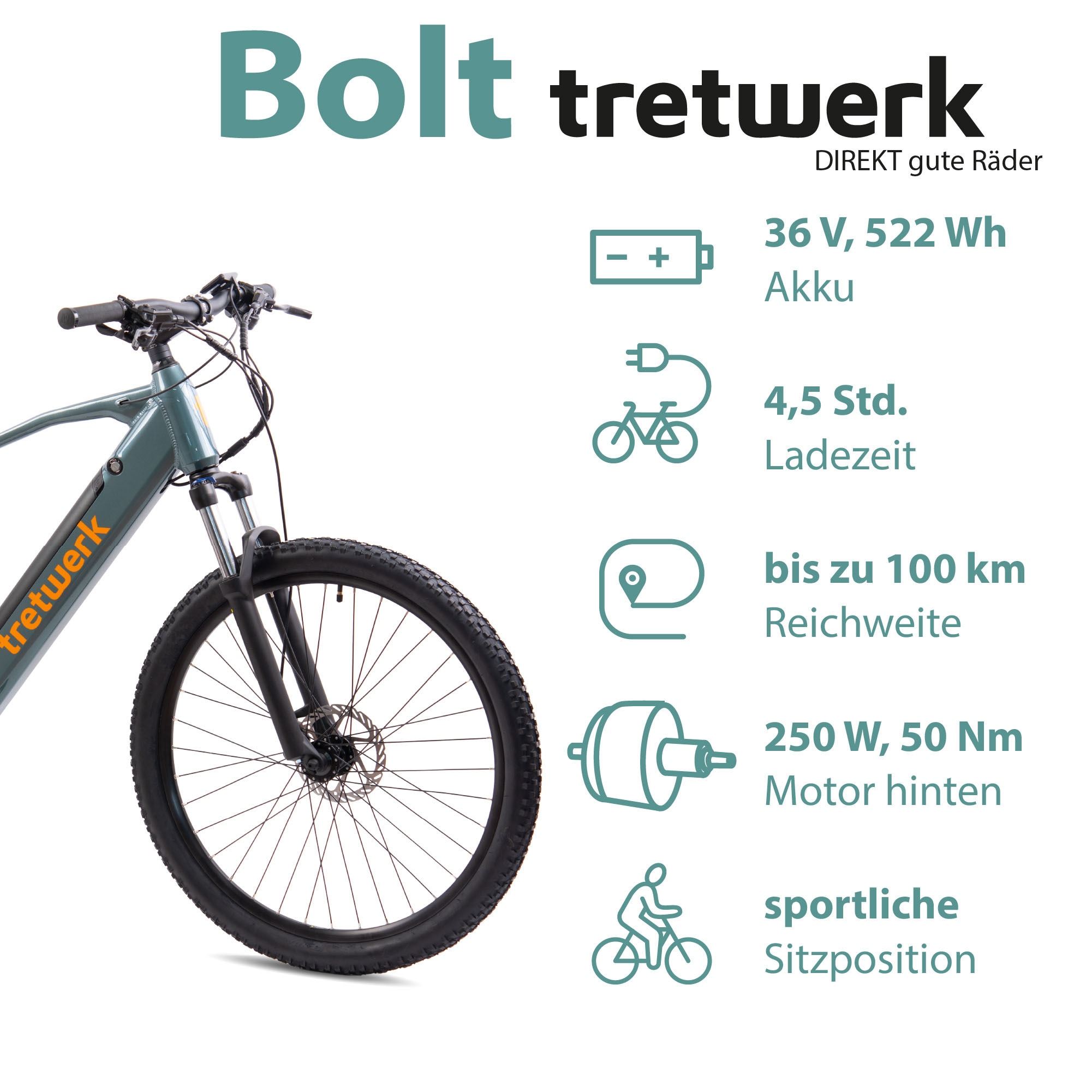 Tretwerk E-Bike »Bolt«, Shimano, Heckmotor 250 W, Pedelec, Elektrofahrrad für Damen u. Herren, MTB