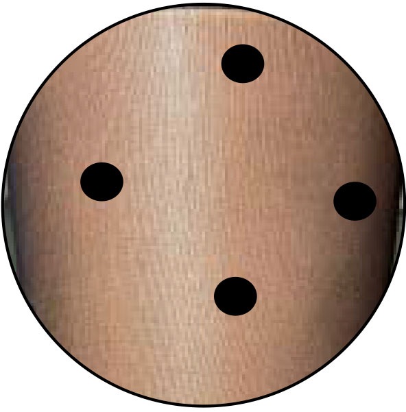 Camano Strumpfhose »fine fashion« 40 mit nahtloser Verarbeitung