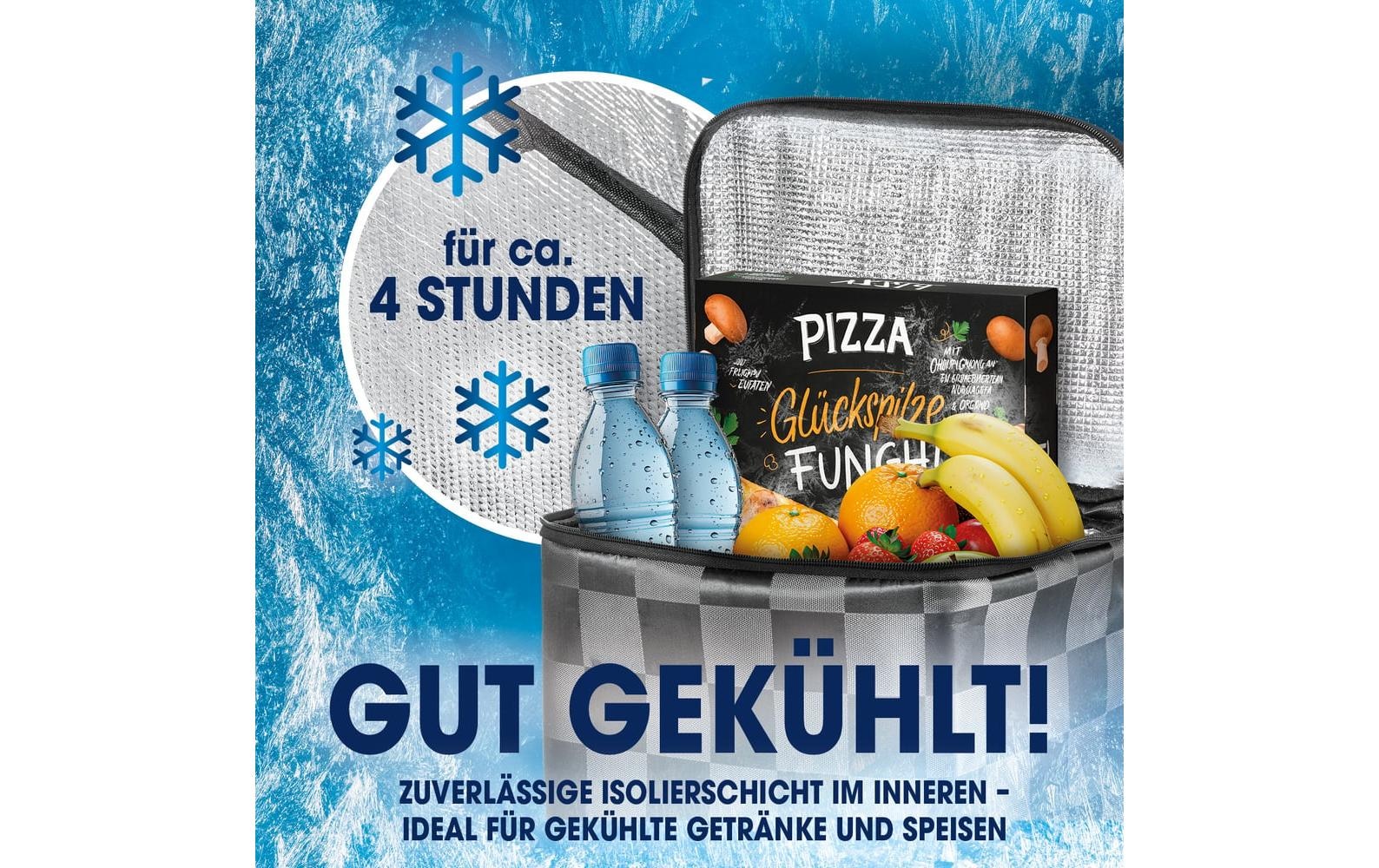 EASYmaxx Einkaufstrolley »52 l« Faltbarer Einkaufstrolley mit Kühltasche