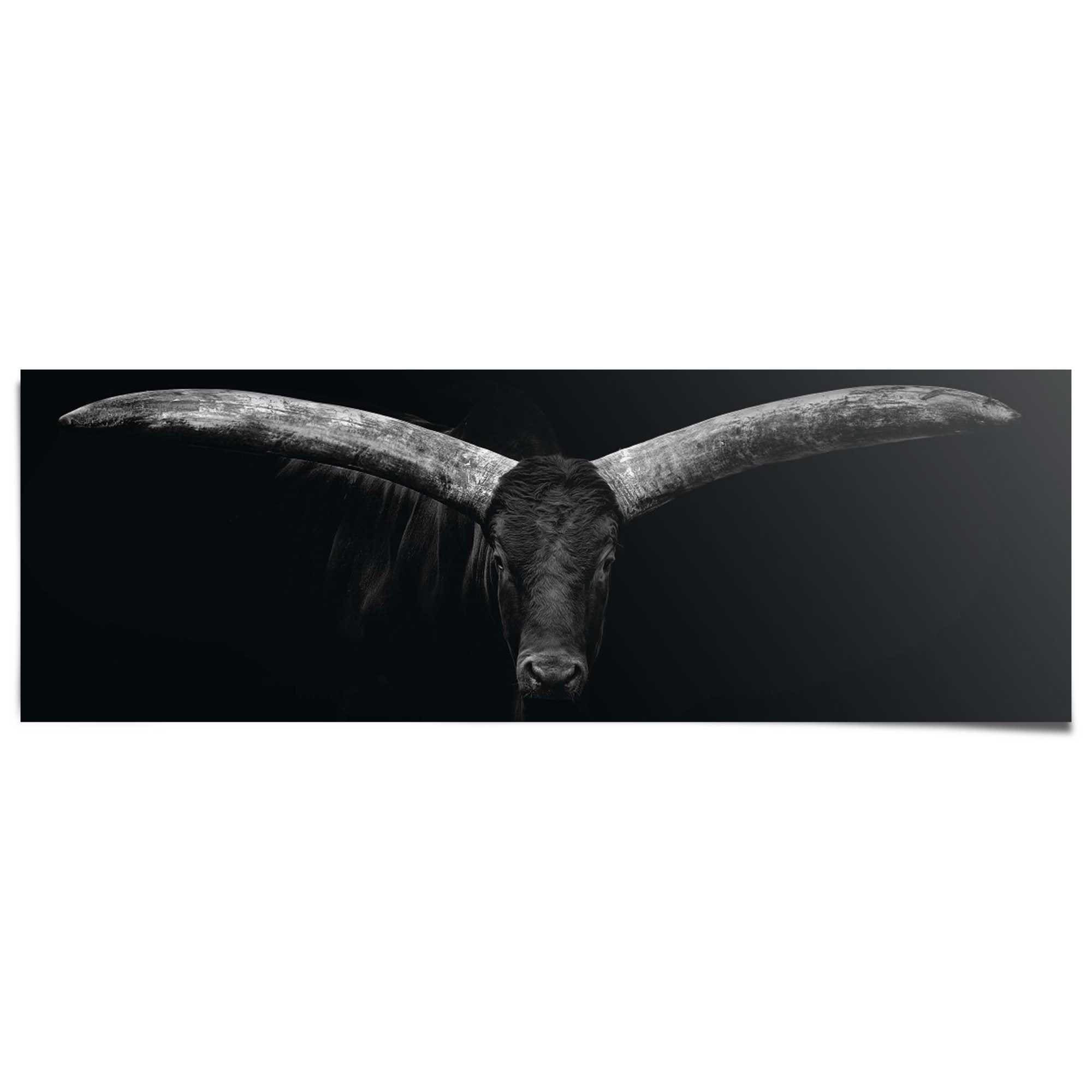 Reinders! Poster »Ochse« günstig online kaufen