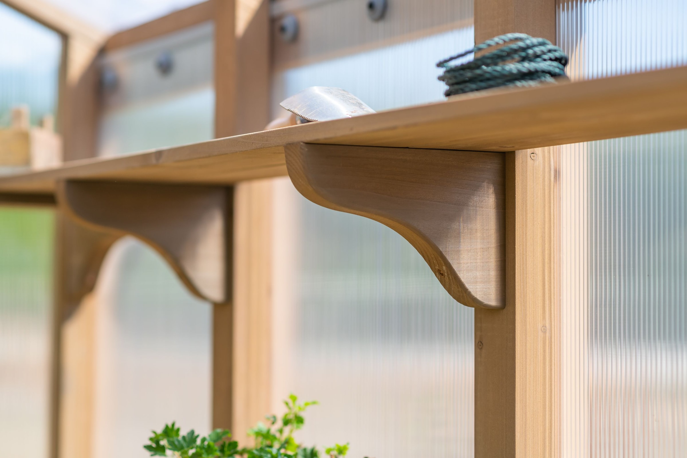 WESTMANN Gewächshaus »Paul«, 100 % FSC®-zertifiziertes Zedernholz