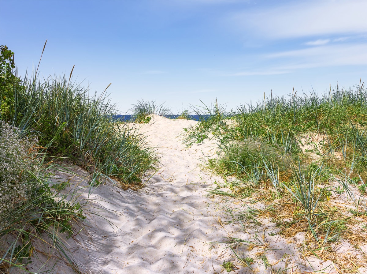 Papermoon Fototapete »Dünen in der Ostsee« günstig online kaufen