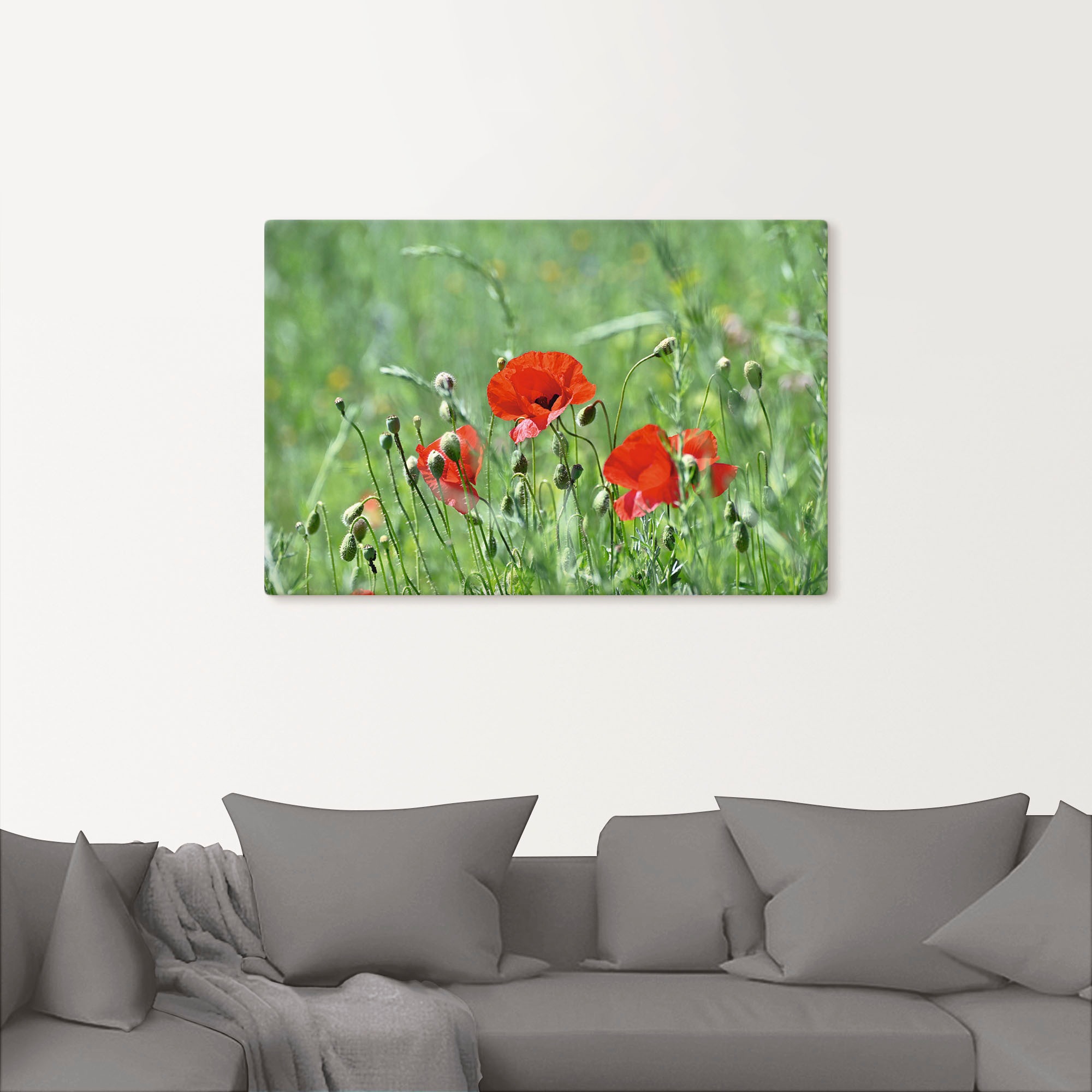 Artland Wandbild »Mohnblumen im Gras«, Blumenbilder, (1 St.), als Leinwandbild, Poster in verschied. Größen