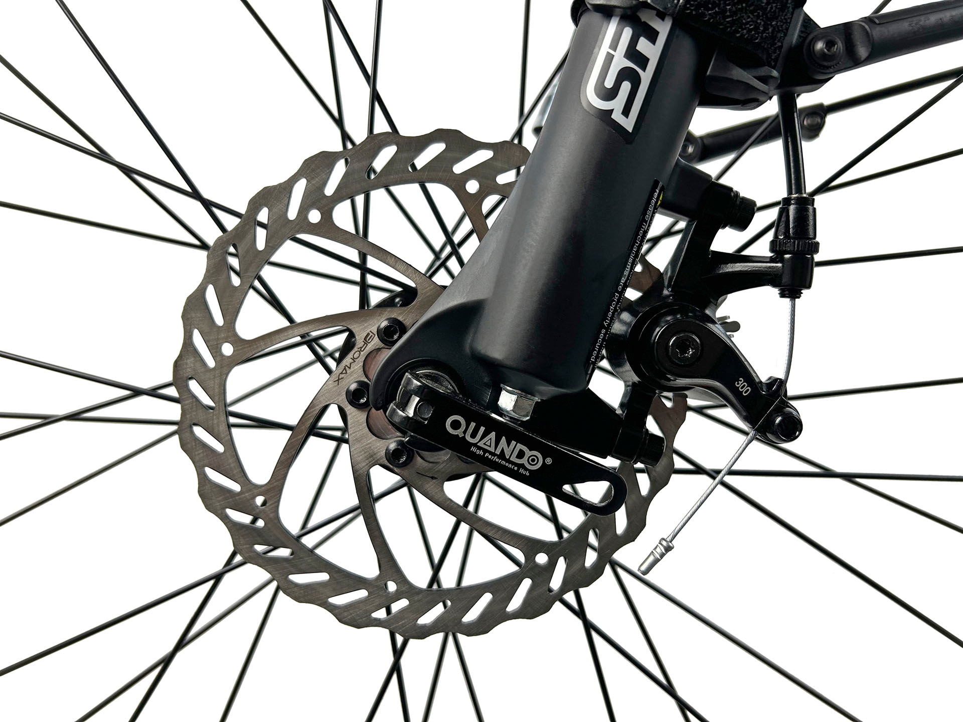 LLobe »Mountain E-Bike 27,5" Brillant« 24 Gang Shimano Altus Schaltwerk Kettenschaltung Heckmotor 250 W