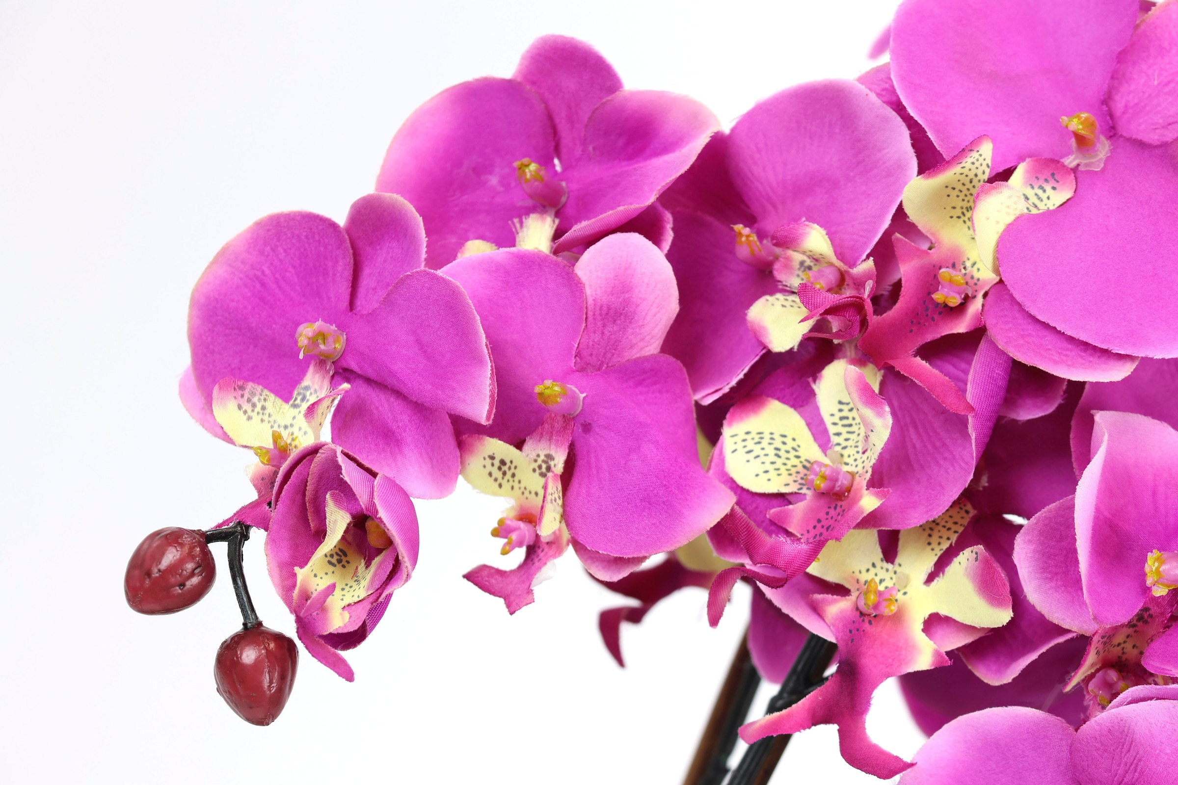 I.GE.A. Kunstblume »Künstliche Orchidee in Schale Phalaenopsis Kunstblume Blume«, Kunstorchidee Deko Dekoblume Seidenblume