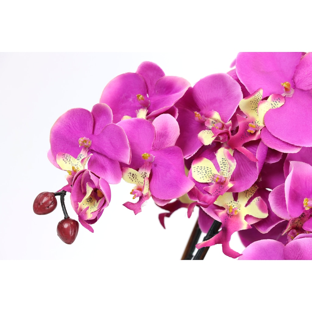 I.GE.A. Kunstblume »Künstliche Orchidee in Schale Phalaenopsis Kunstblume Blume«