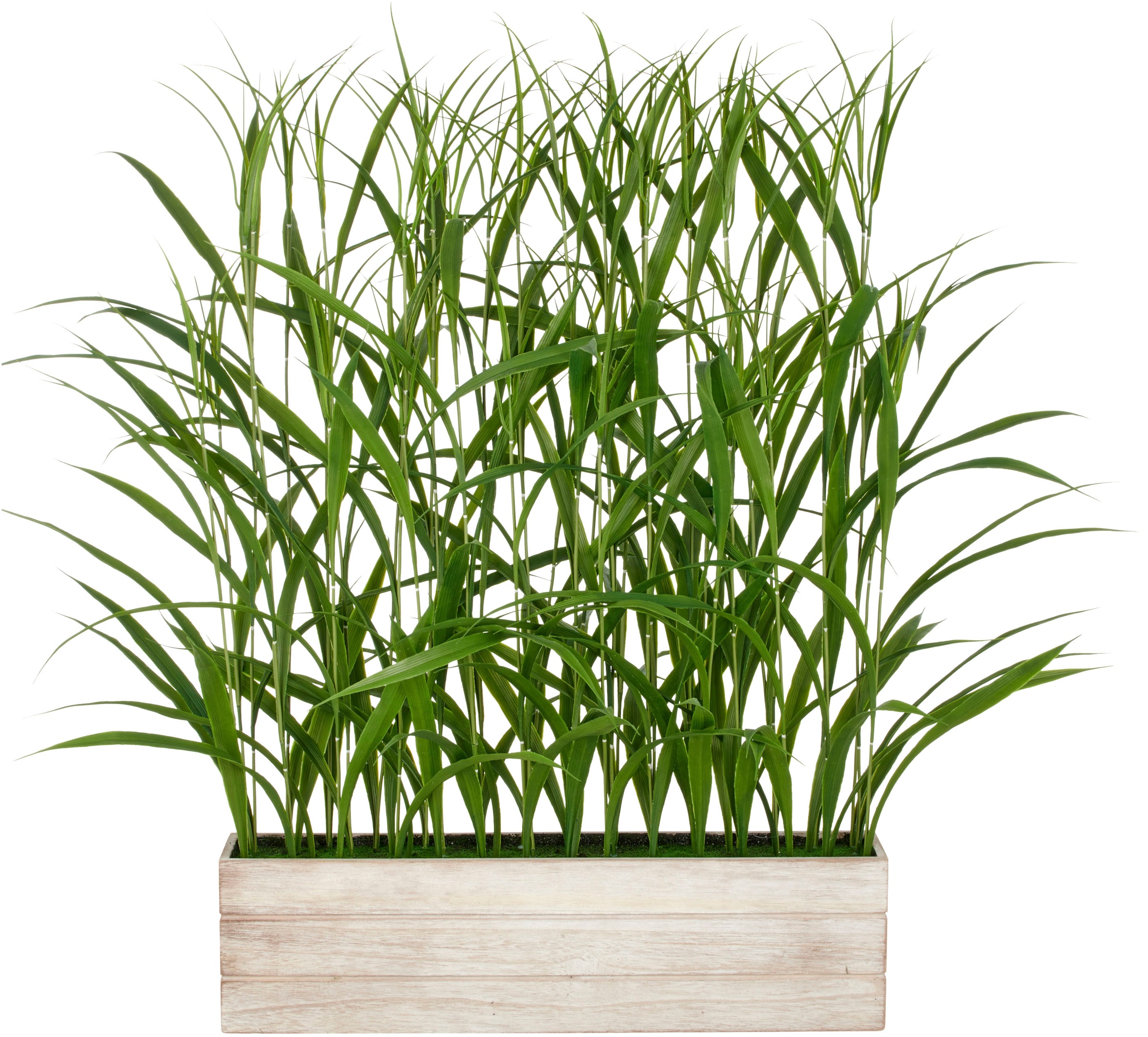 Creativ green Kunstgras »Raumteiler Gras«, mit filigranen Grashalmen günstig online kaufen