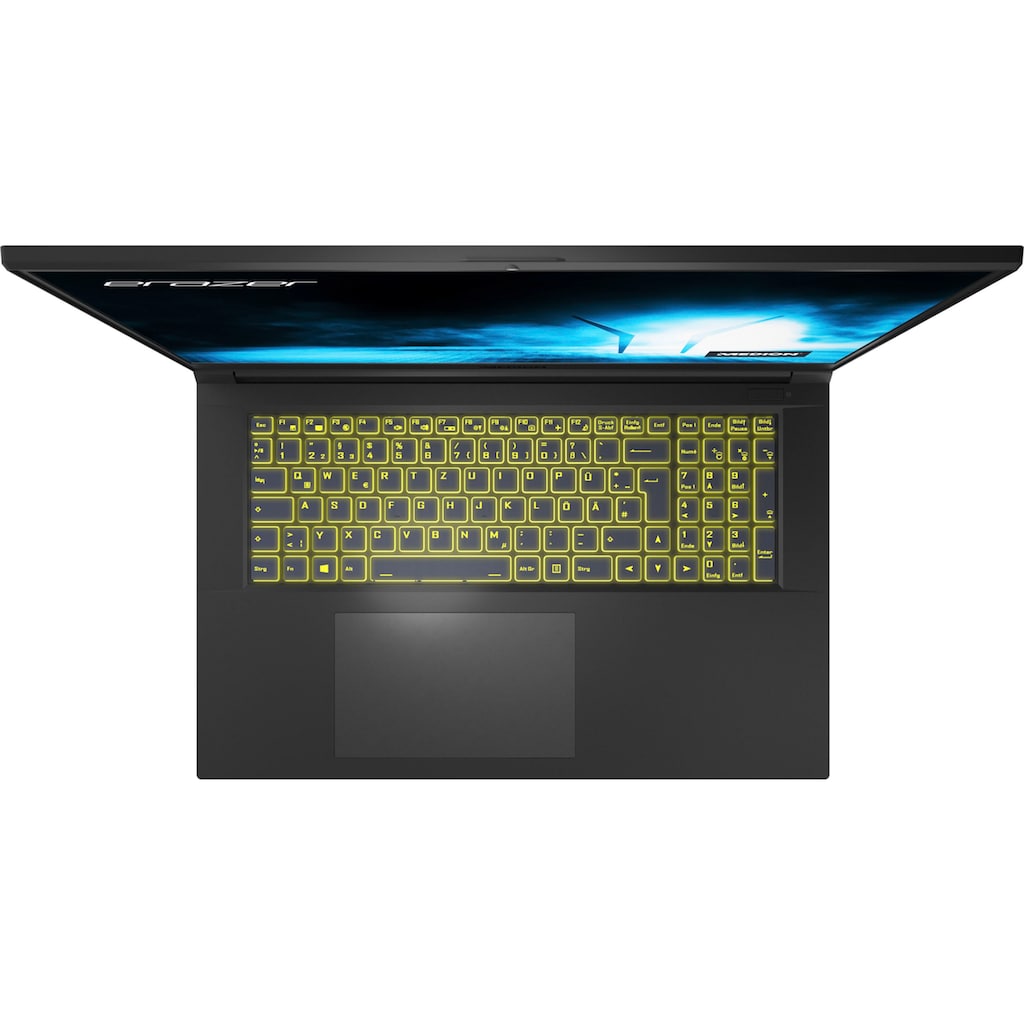 Medion® Gaming-Notebook »ERAZER® Scout E10«, 43,9 cm, / 17,3 Zoll, Intel, Core i5, GeForce GTX 1650, 512 GB SSD