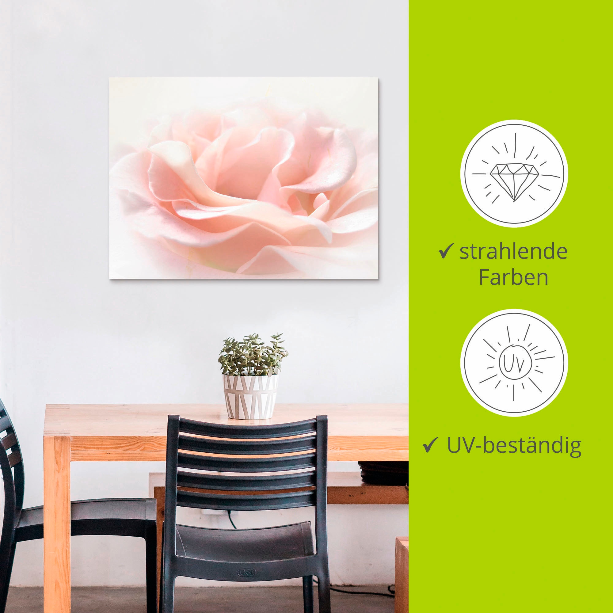 Artland Wandbild »Rose I«, Blumen, (1 St.), als Alubild, Outdoorbild, Leinwandbild, Poster, Wandaufkleber