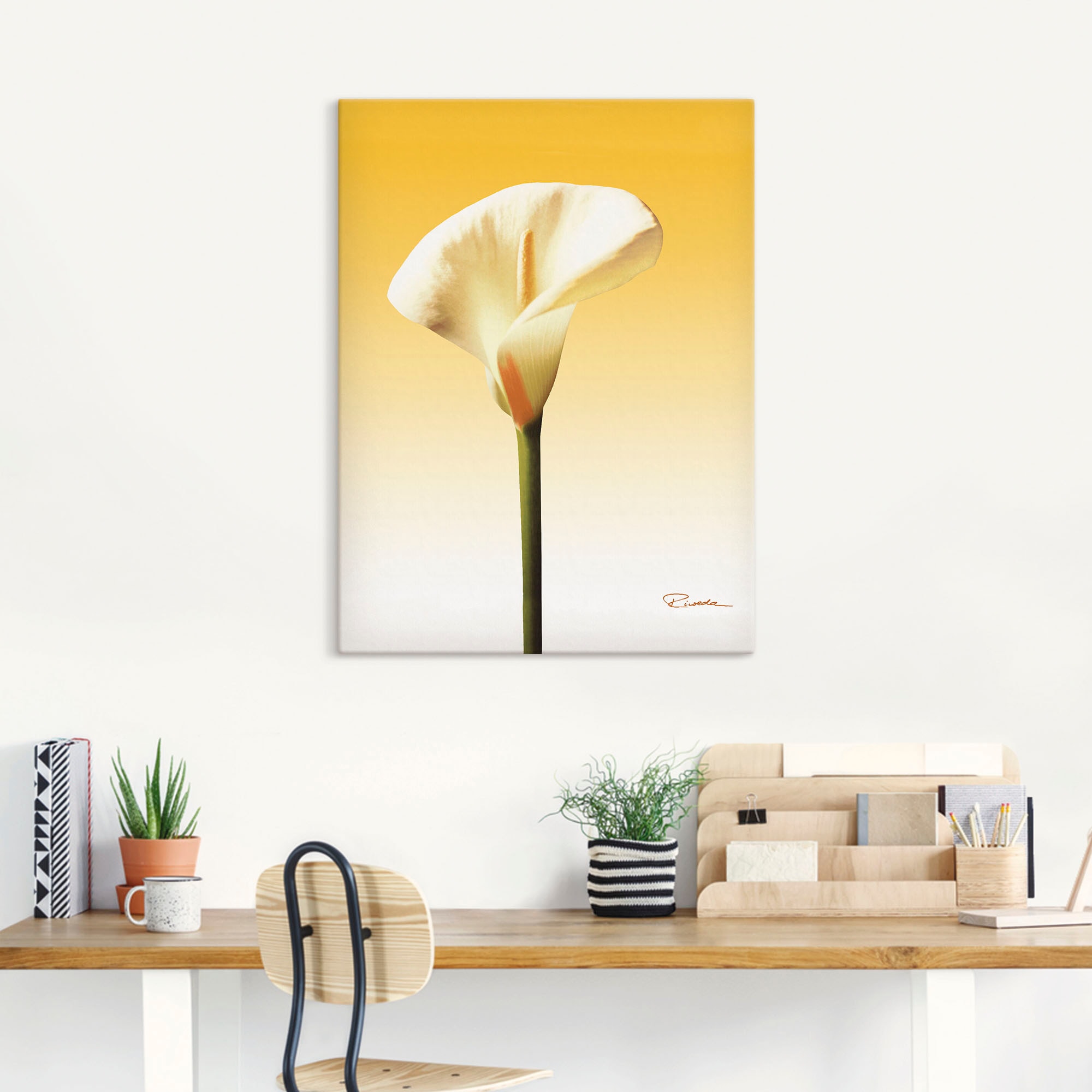 Artland Wandbild »Sonnenschein Calla II«, Blumenbilder, (1 St.), als Leinwandbild, Poster in verschied. Größen