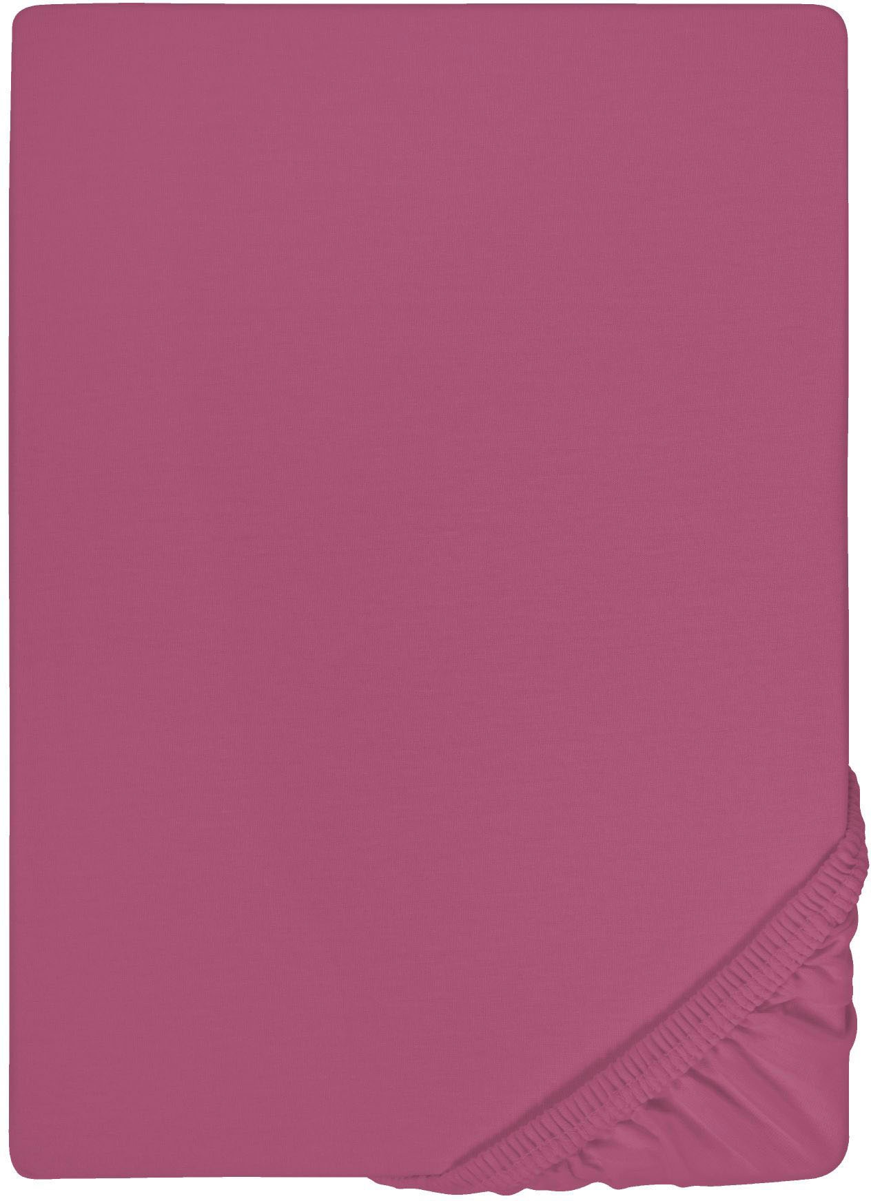 Biberna Spannbettlaken »Marc in Gr. 90x200, 140x200 oder 180x200 cm«, (1 St.), aus Baumwolle, für Matratzen bis 22 cm Höhe, Bettlaken, Spannbetttuch